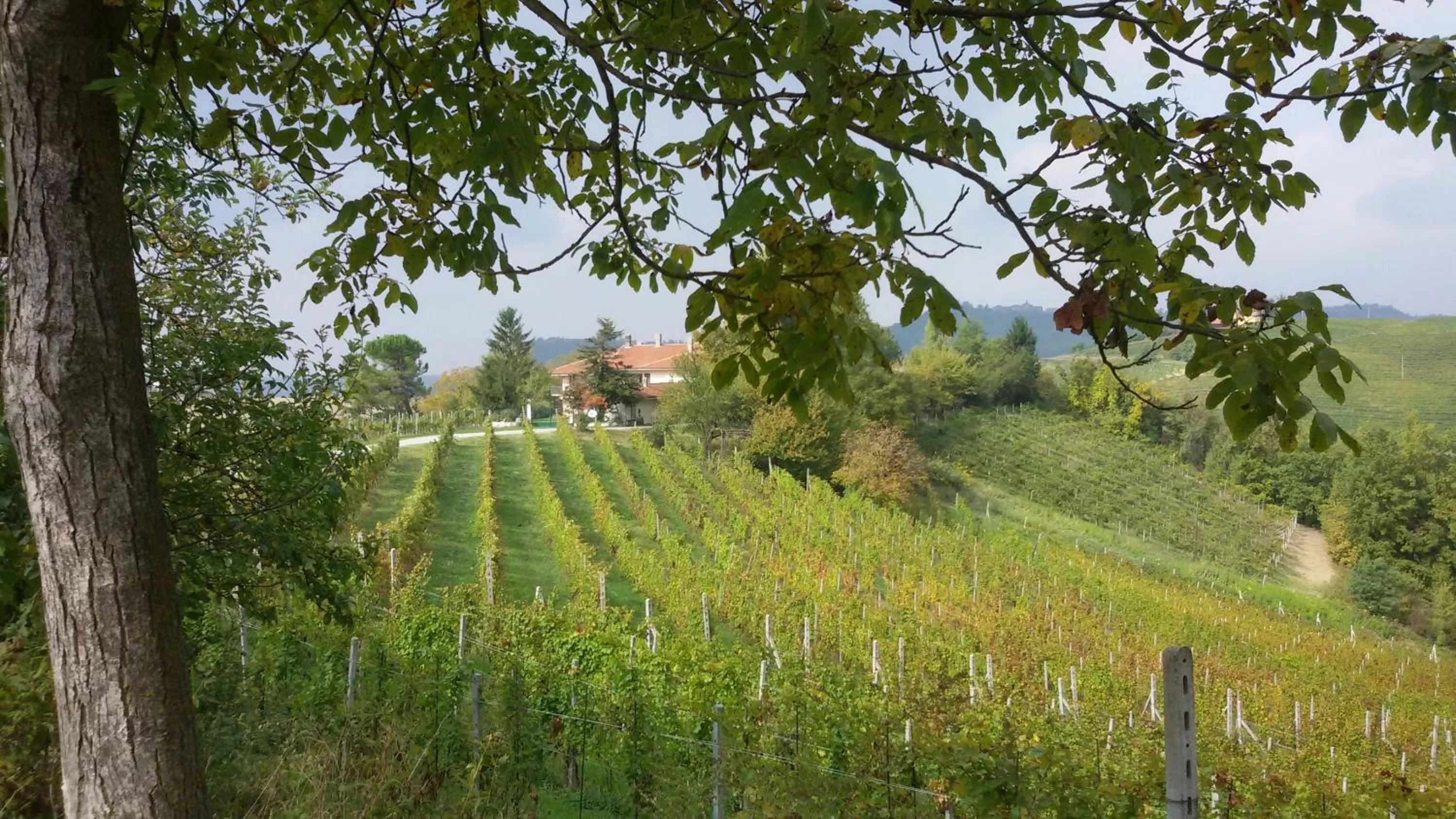 Natural landscape, Garden in Cascina Torello