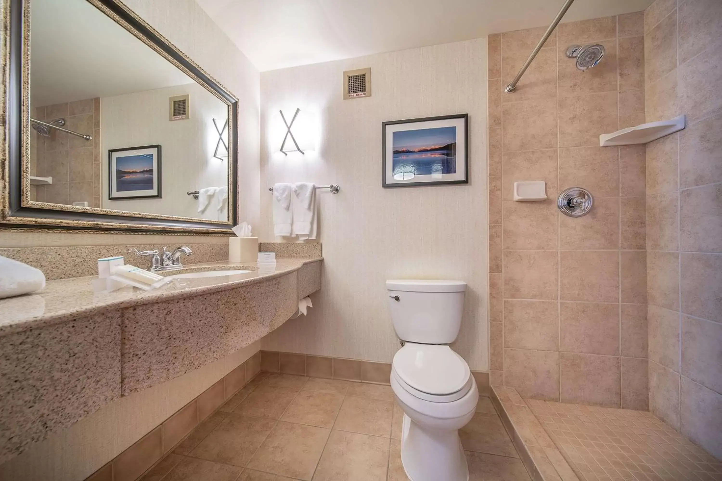 Bathroom in Hilton Garden Inn Kalispell