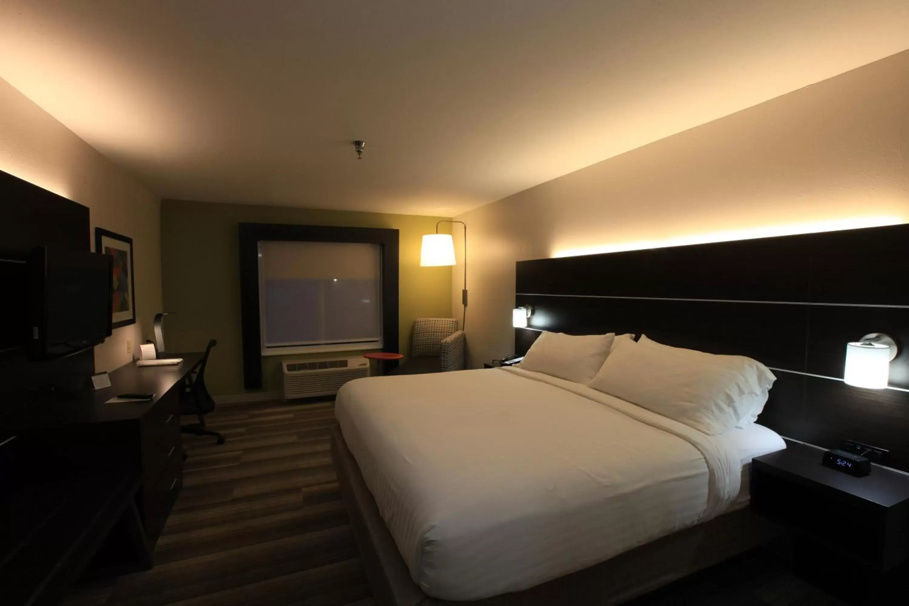 Photo of the whole room, Bed in Holiday Inn Express & Suites Chattanooga-Hixson, an IHG Hotel