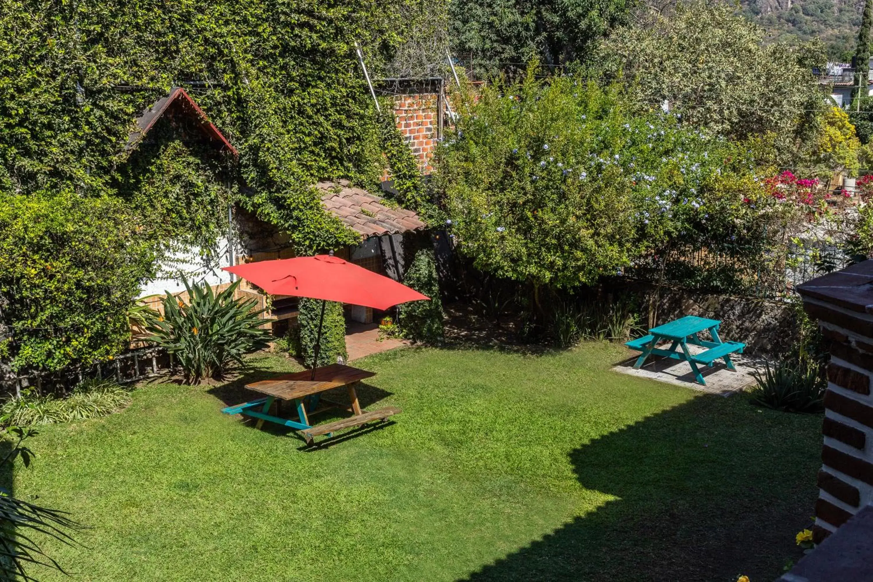 BBQ facilities, Garden in Colibrí Turquesa