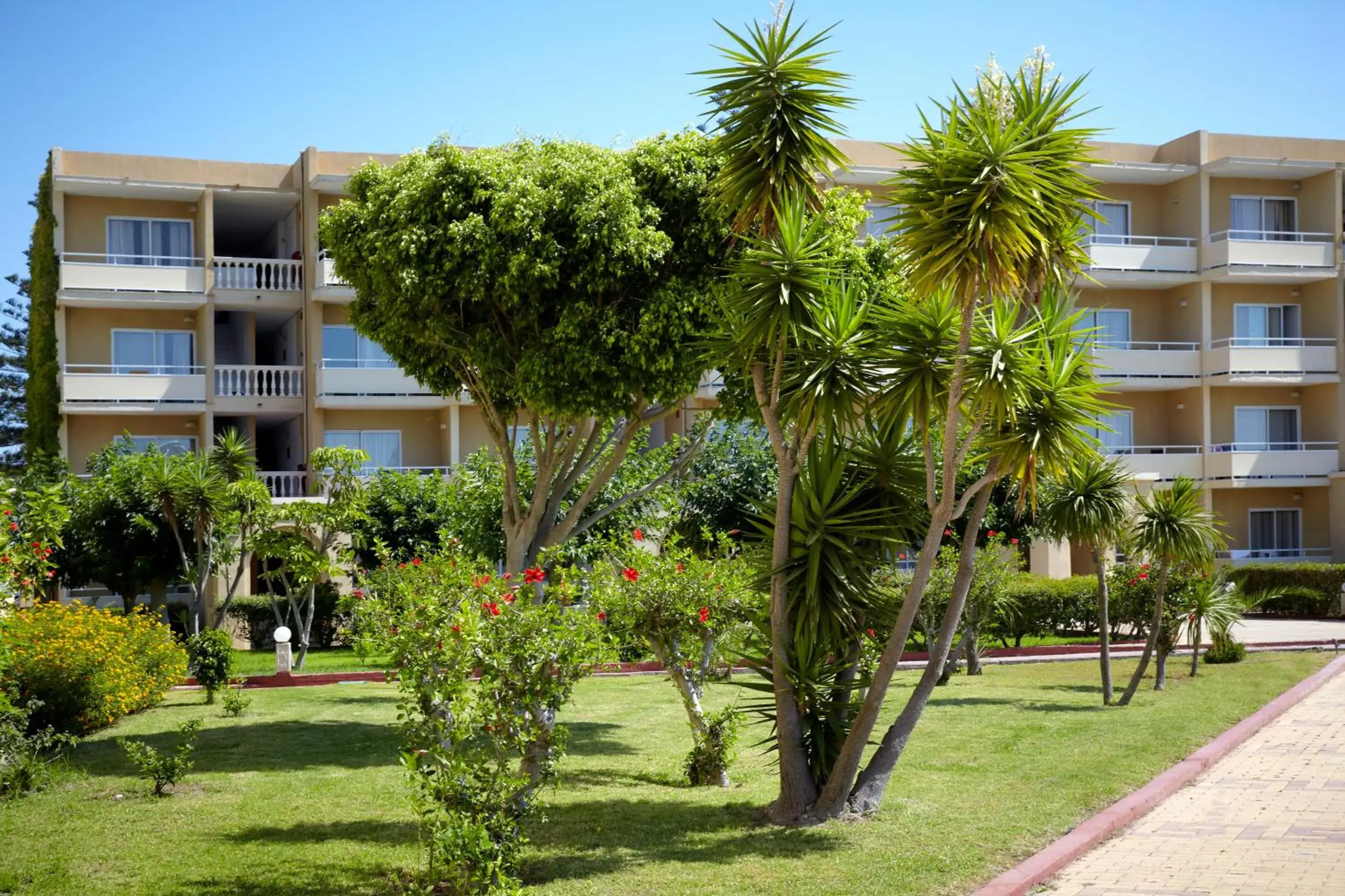 Property Building in Sunshine Rhodes