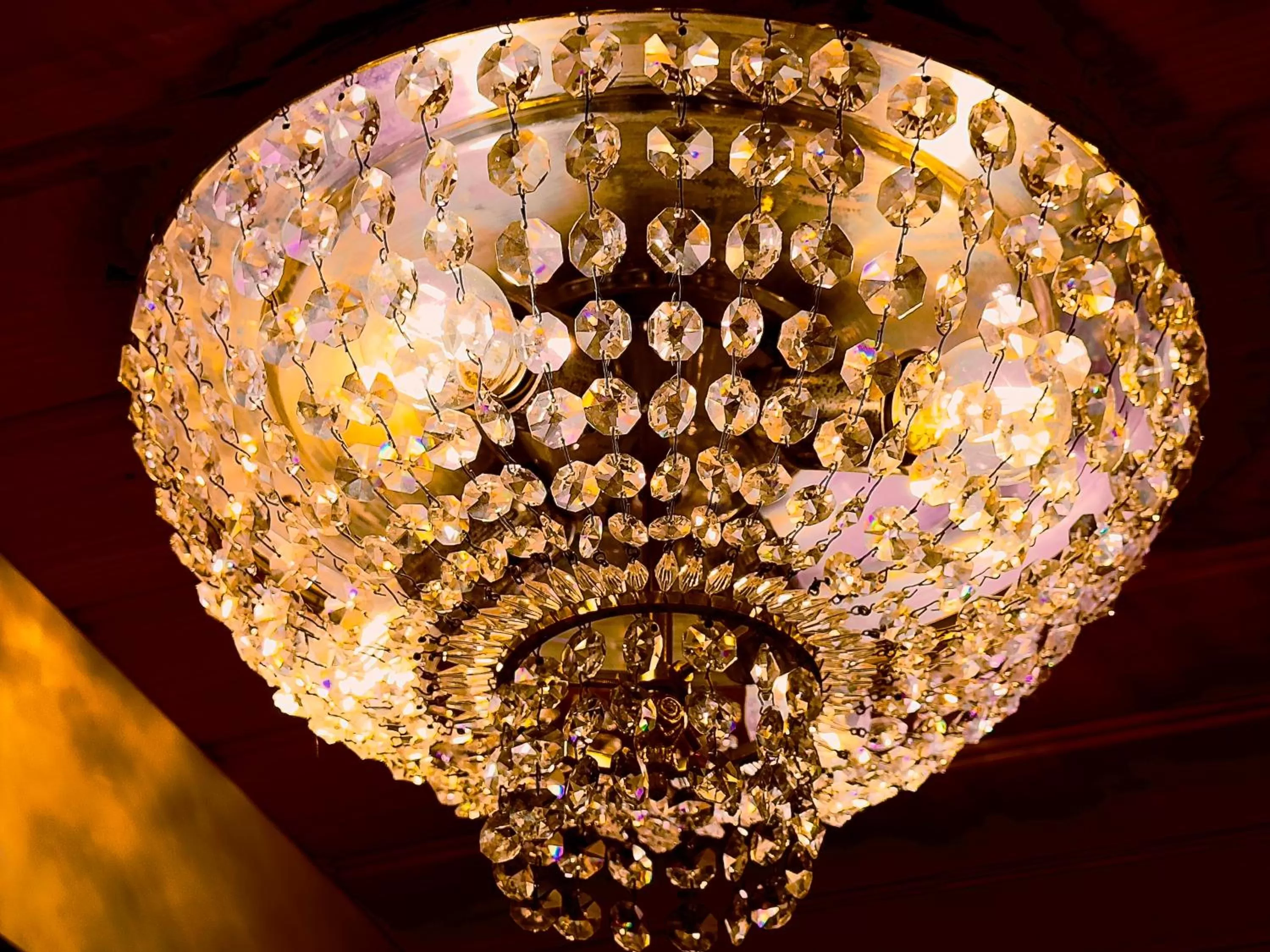 Villa Steenwyck Giethoorn