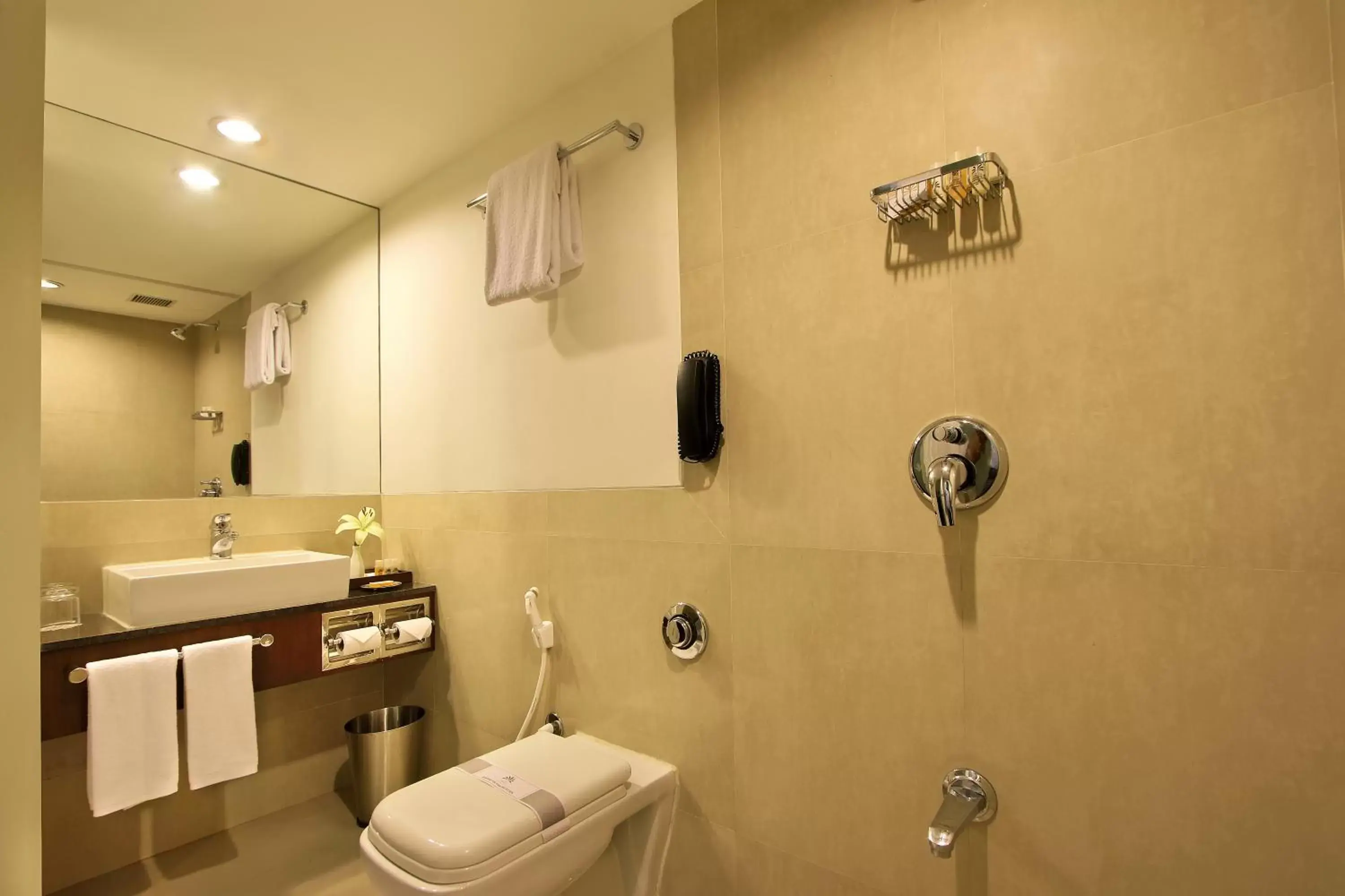 Toilet, Bathroom in Hotel Express Residency Vadodara