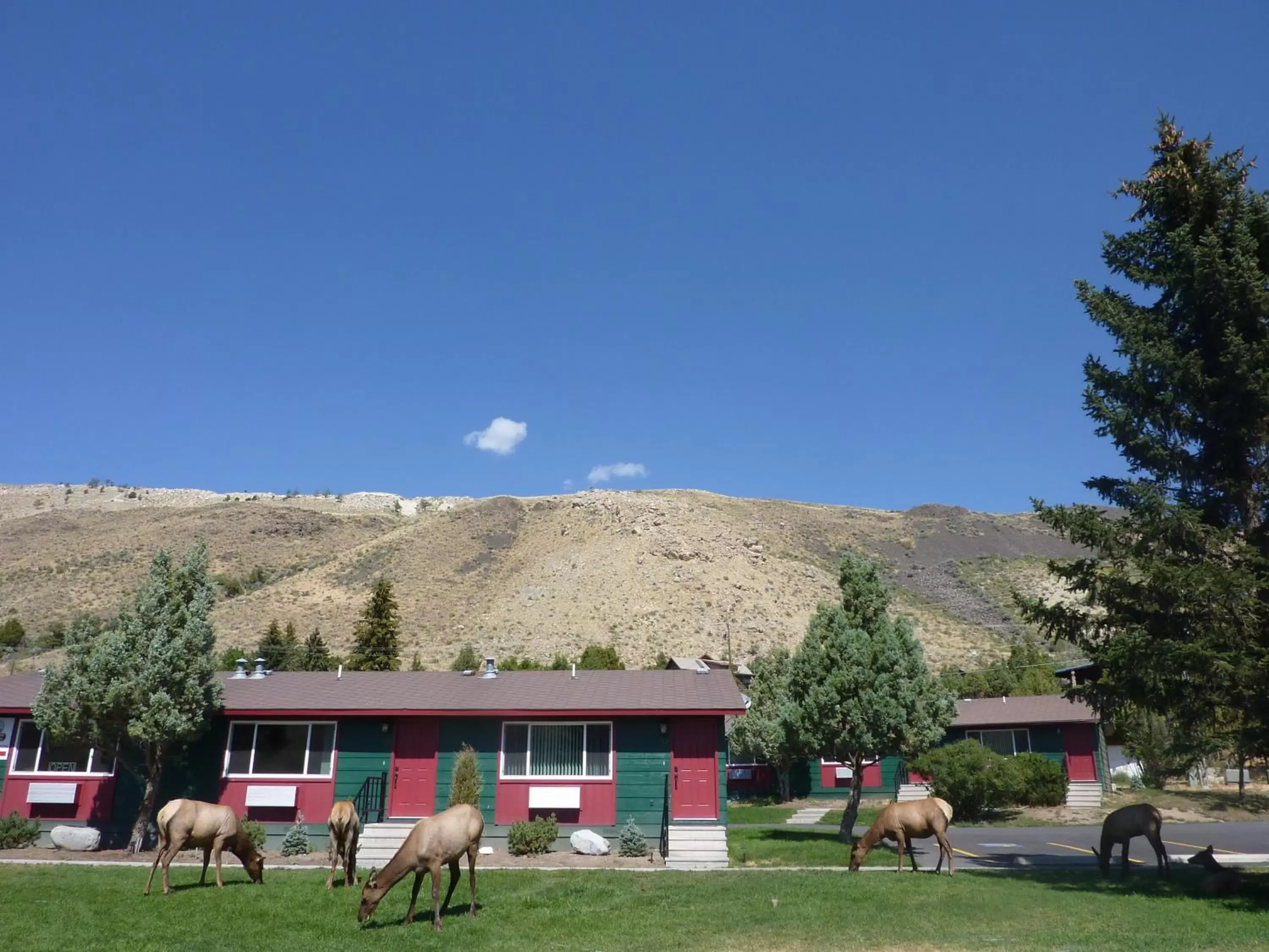 Property Building in Yellowstone Gateway Inn