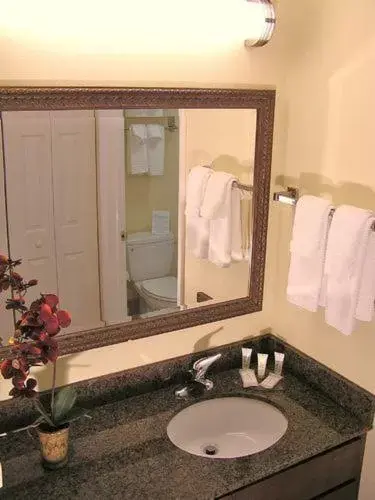 Bathroom in Staybridge Suites Harrisburg-Hershey, an IHG Hotel