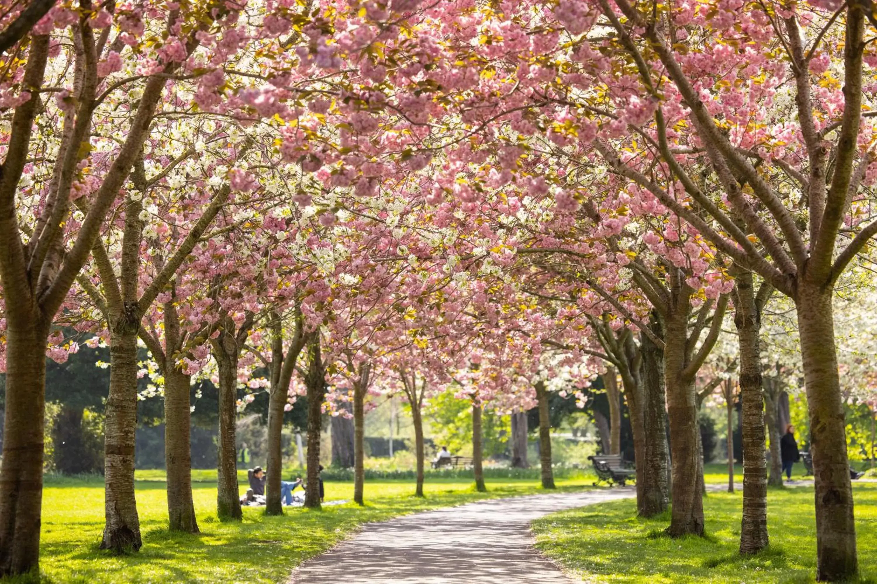 Area and facilities, Garden in Herbert Park Hotel and Park Residence