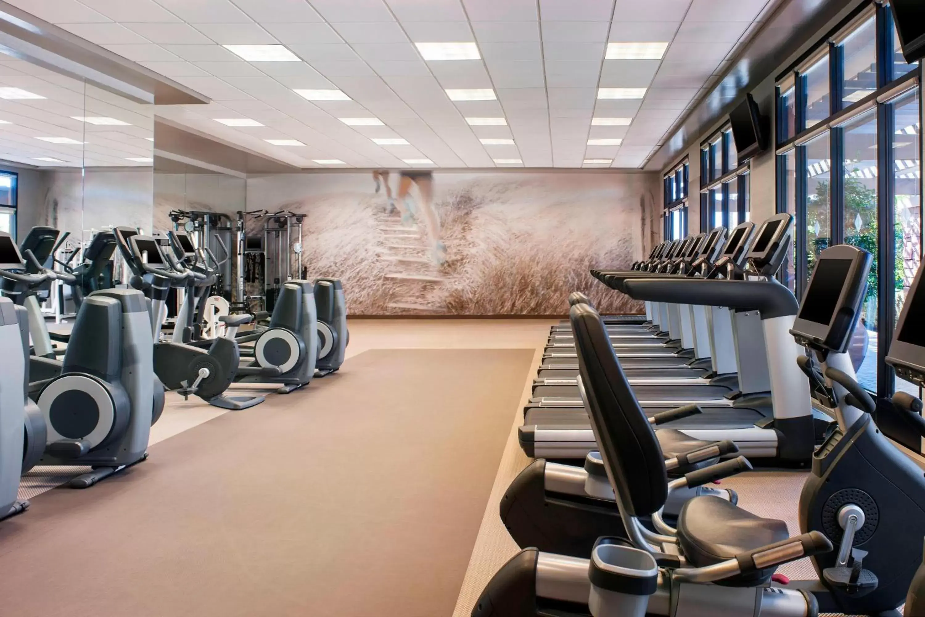 Area and facilities, Fitness Center/Facilities in The Westin Kierland Resort & Spa