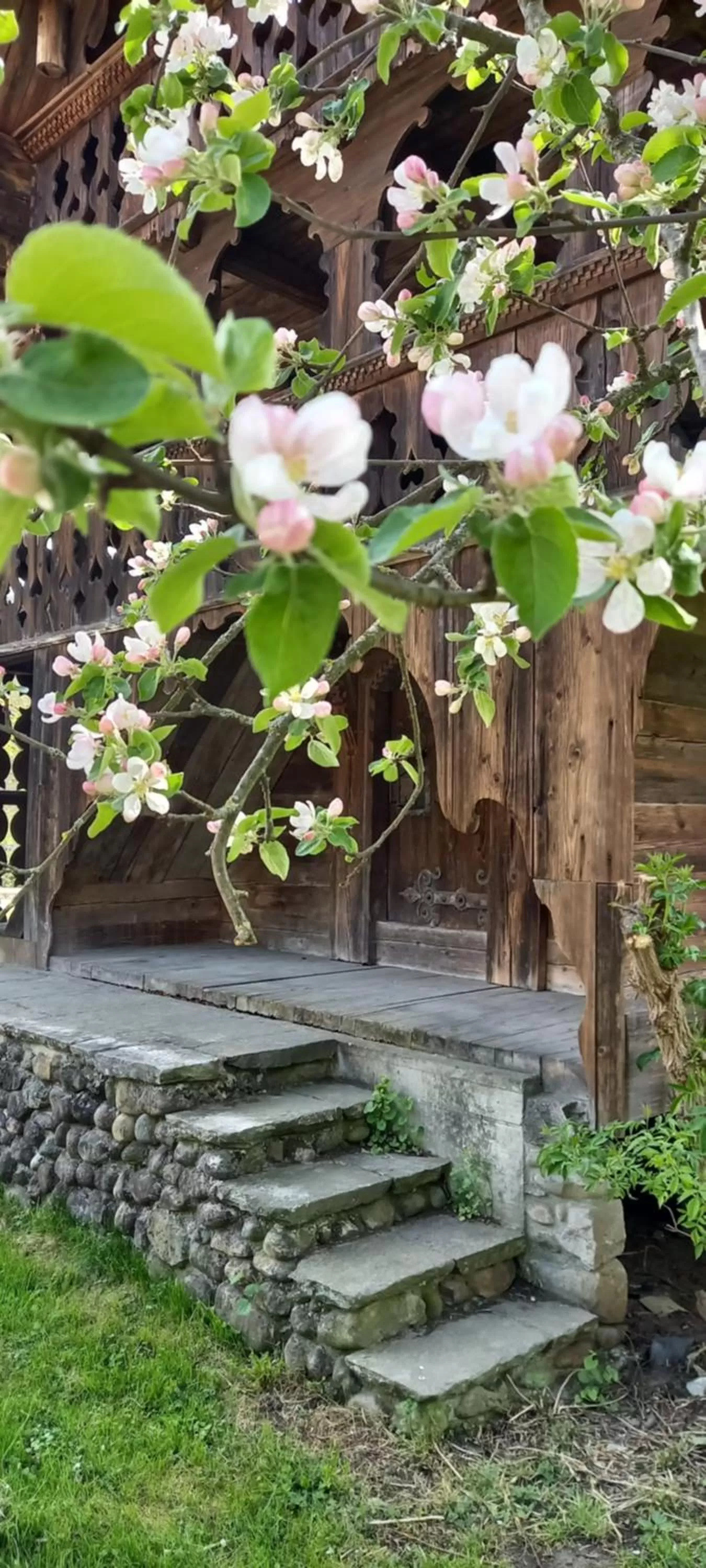 Garden in Emme Lodge