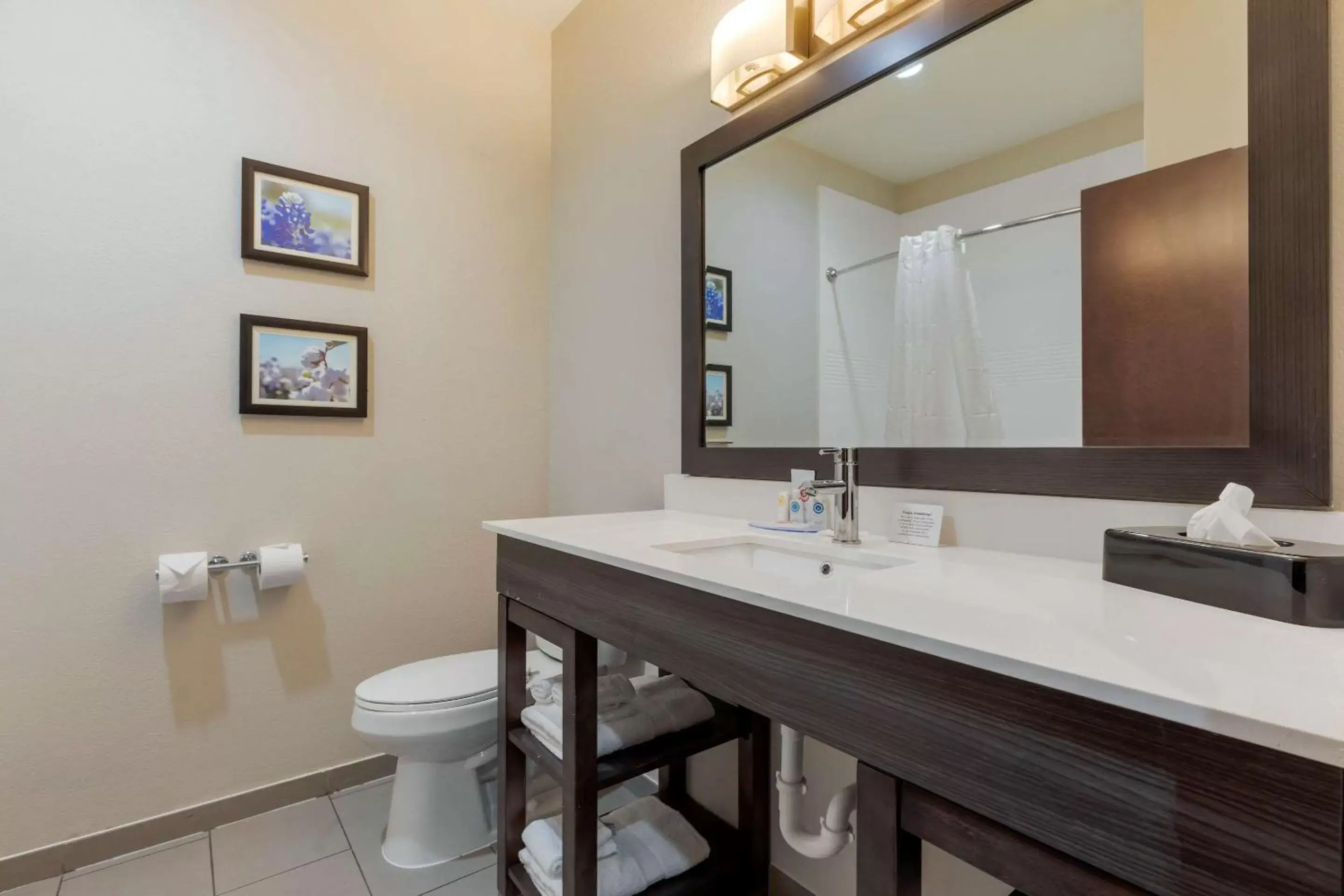 Bathroom in Comfort Inn & Suites Balch Springs - SE Dallas