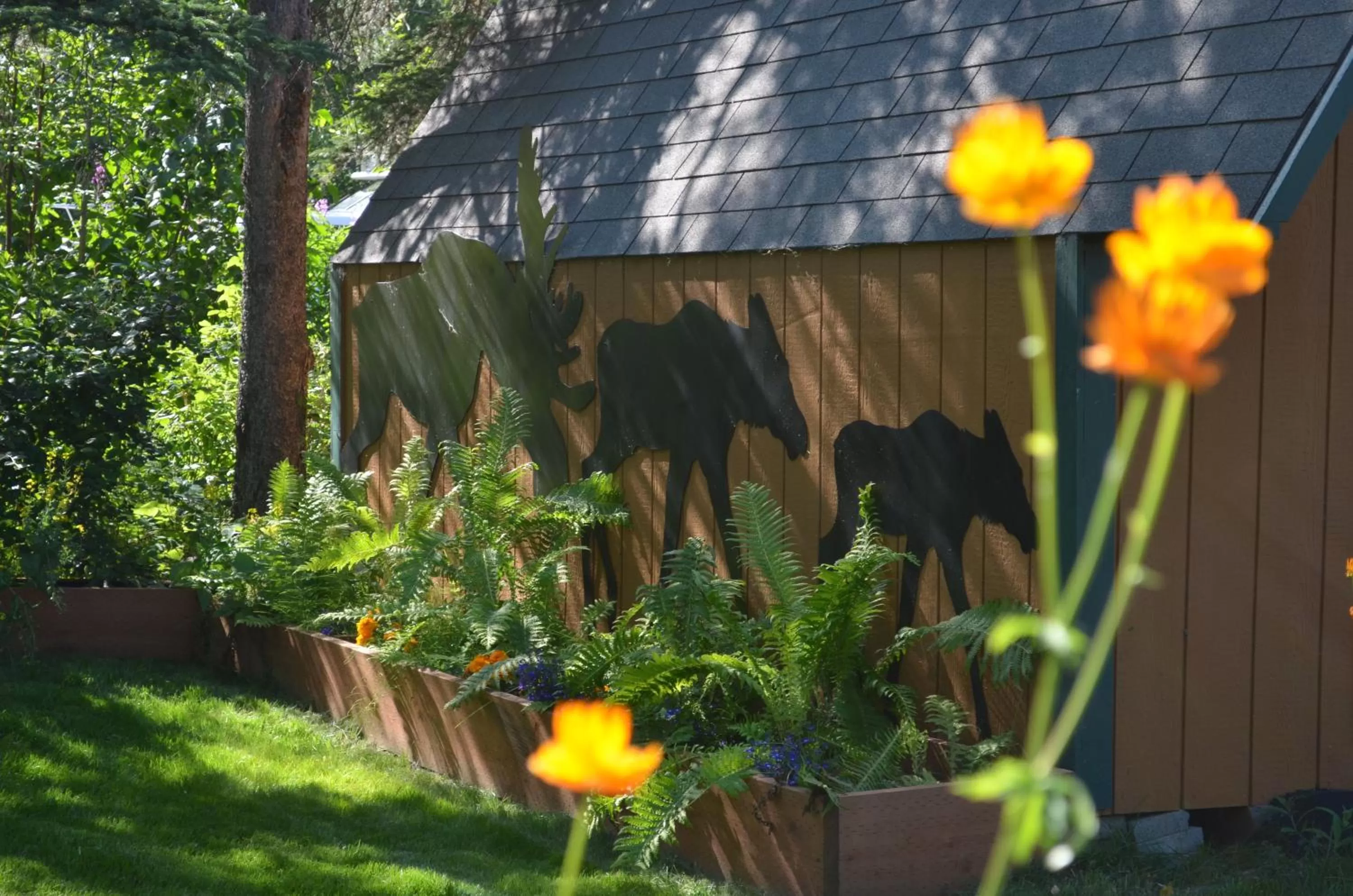 Garden view in Alaska's Lake Lucille Bed & Breakfast