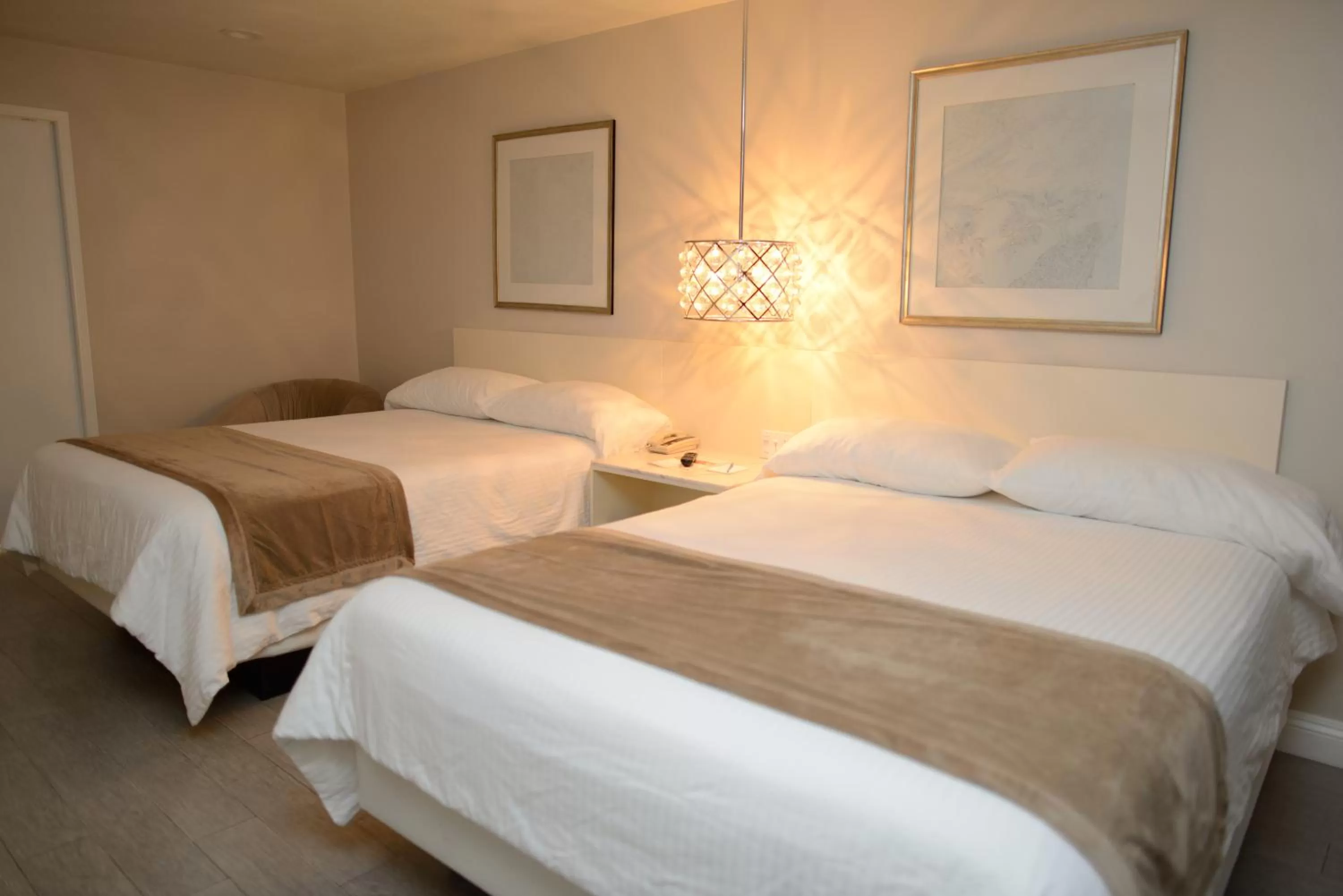 Photo of the whole room, Bed in Hotel Le Reve Pasadena