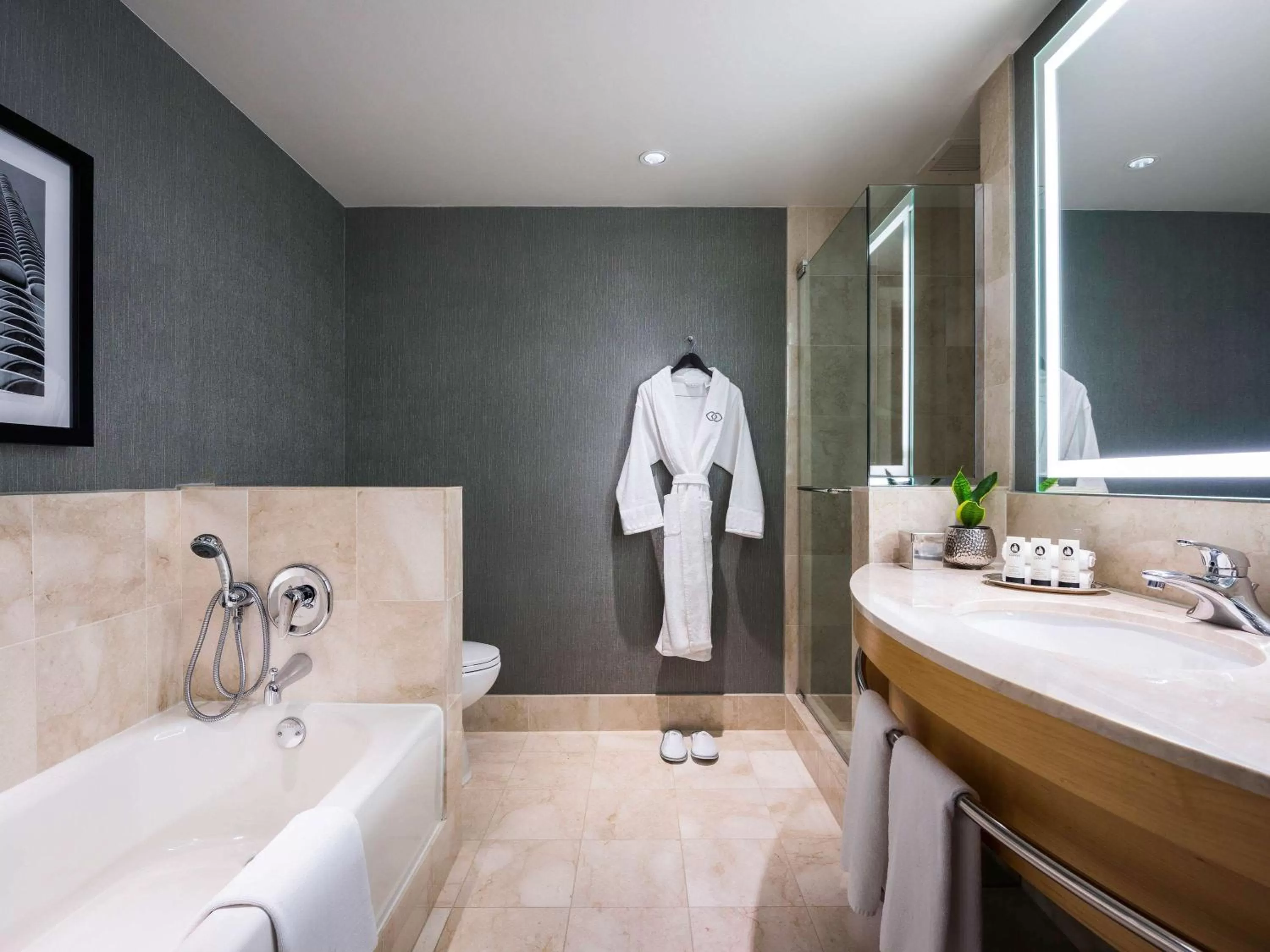 Shower in Sofitel Chicago Magnificent Mile