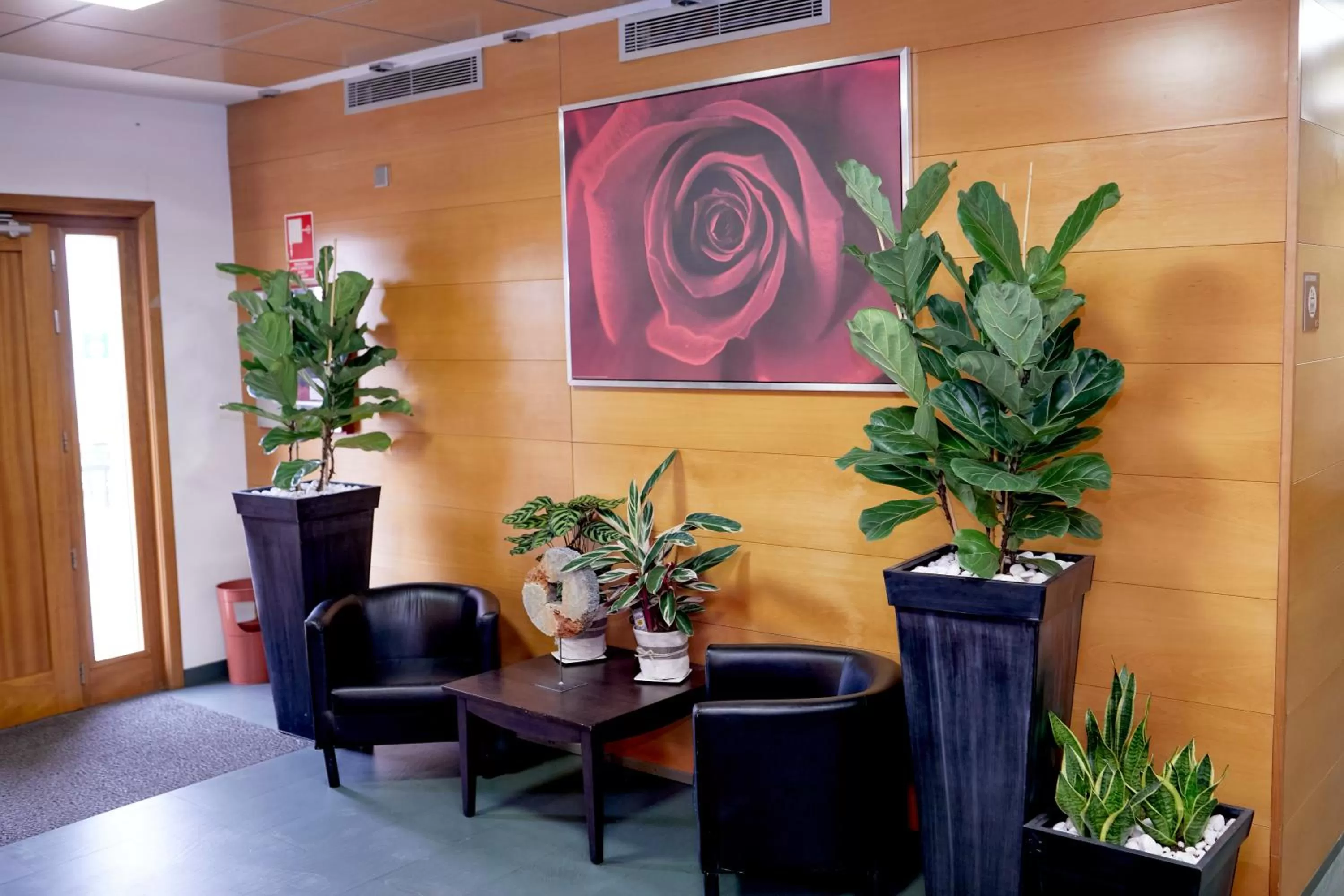 Living room in Hotel Casa Azcona