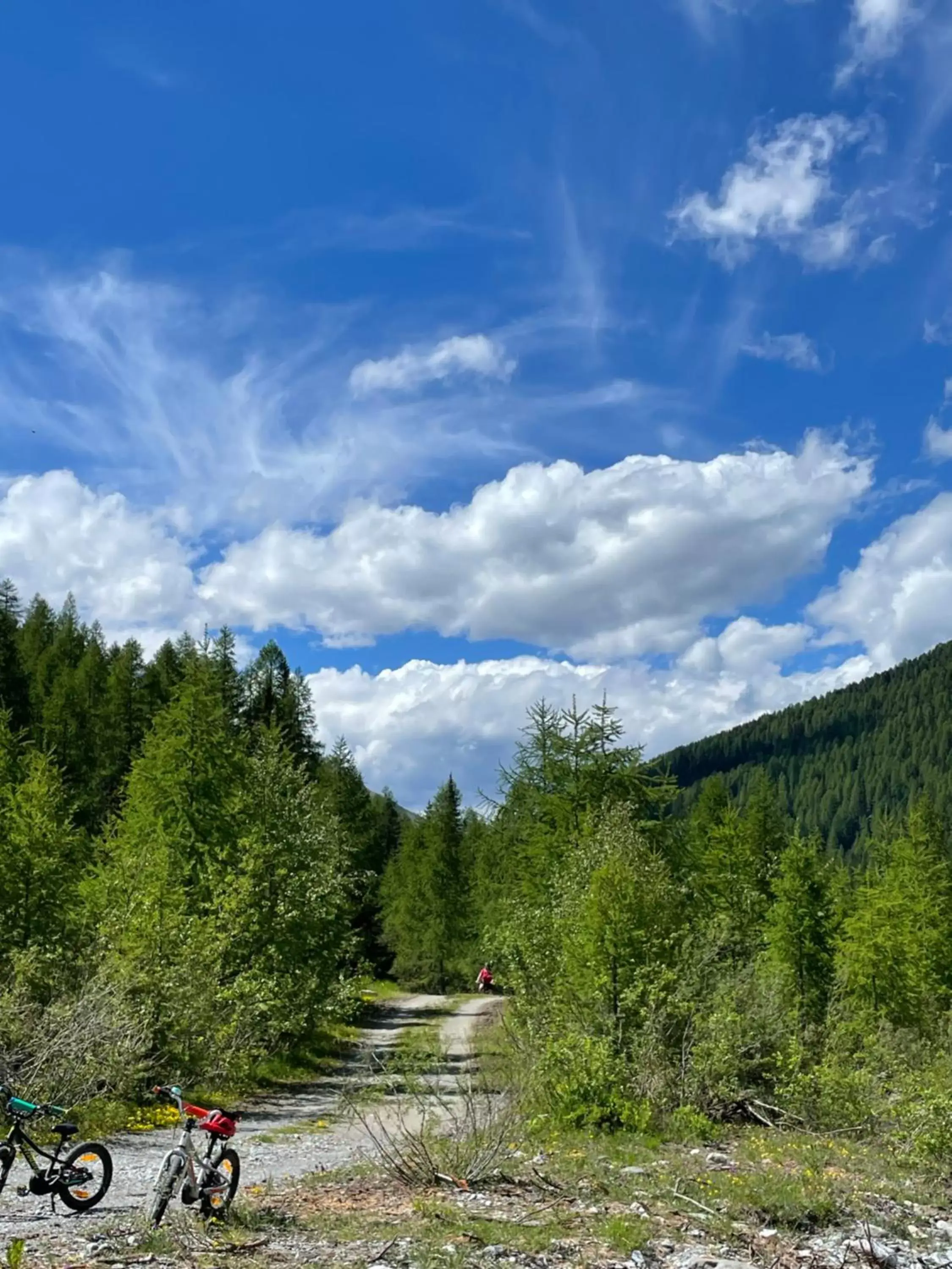 Natural landscape in Hotel Bambi Am Park