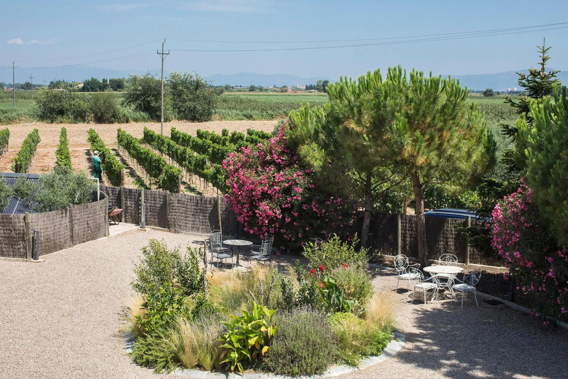 Natural landscape in Boutique Hotel Can Pico - Adults Only