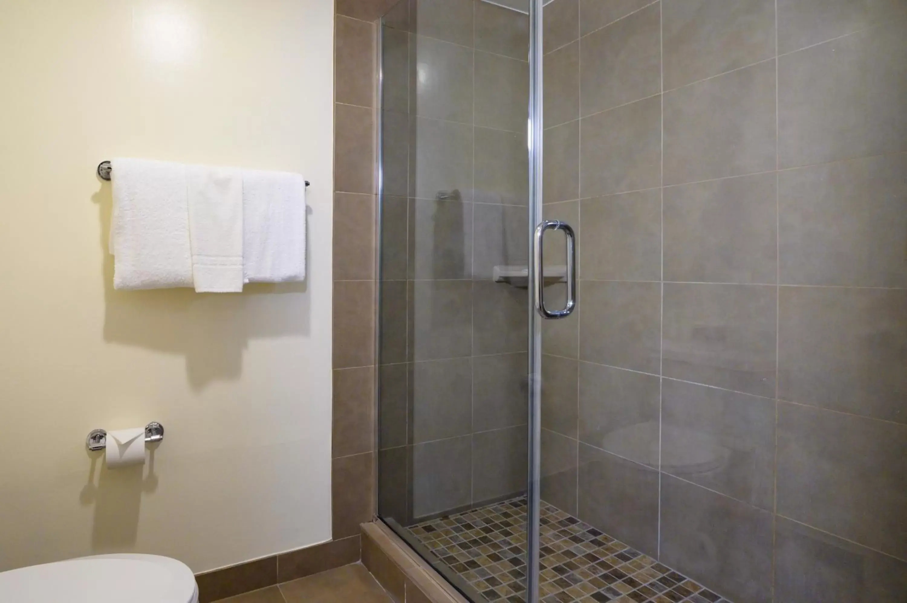 Shower, Bathroom in Airtel Plaza Hotel