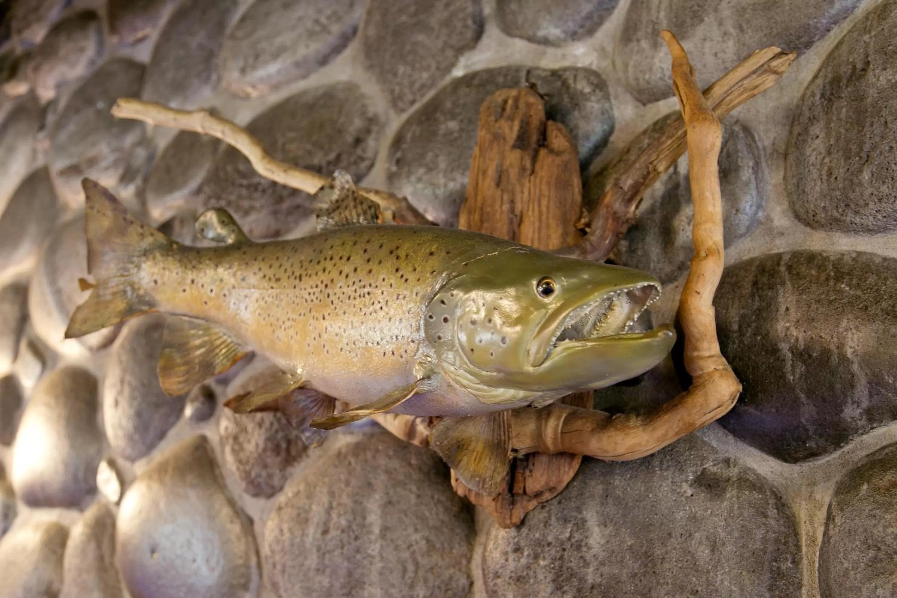 Decorative detail in Turangi Bridge Motel