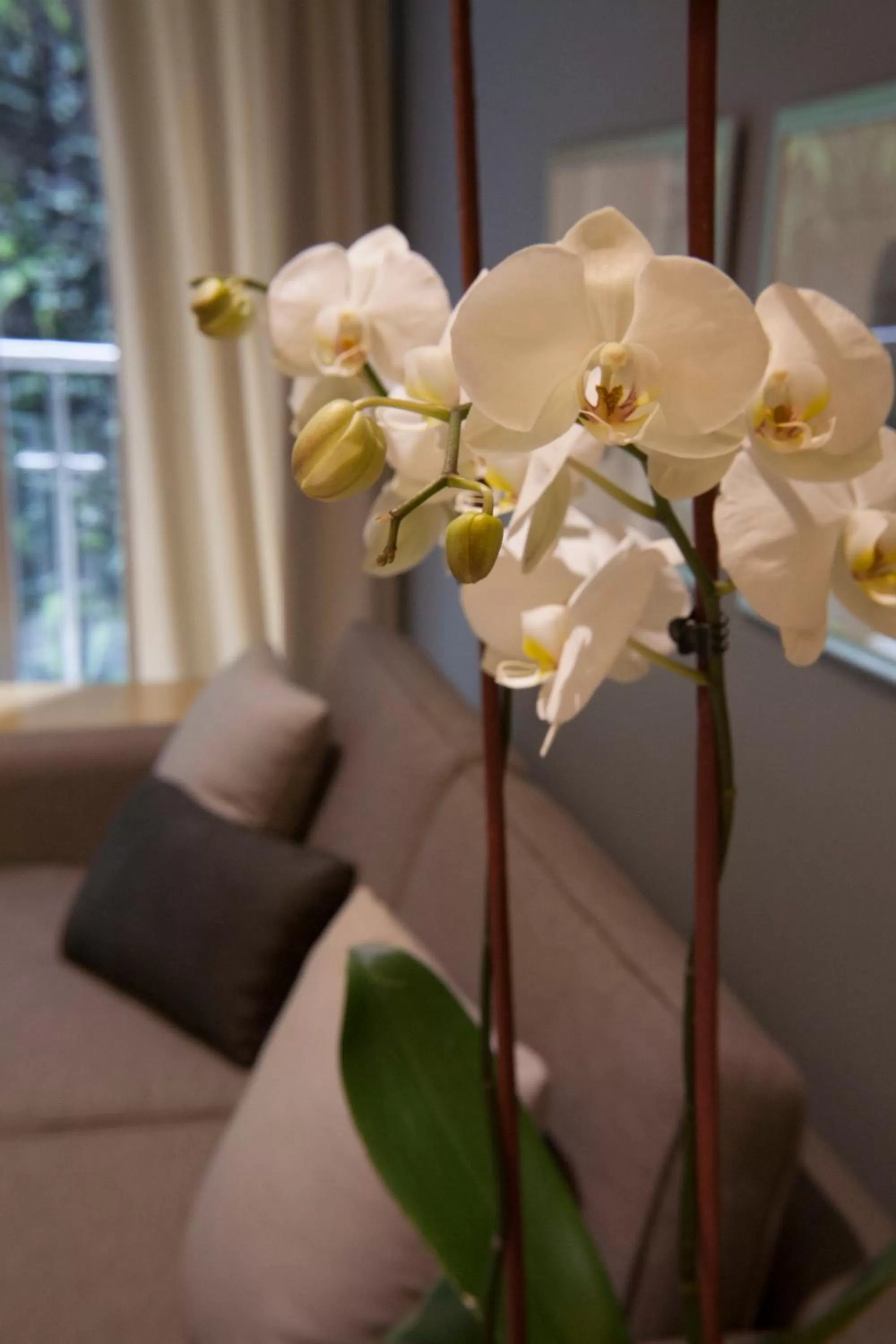 Living room in Pennsylvania Suites