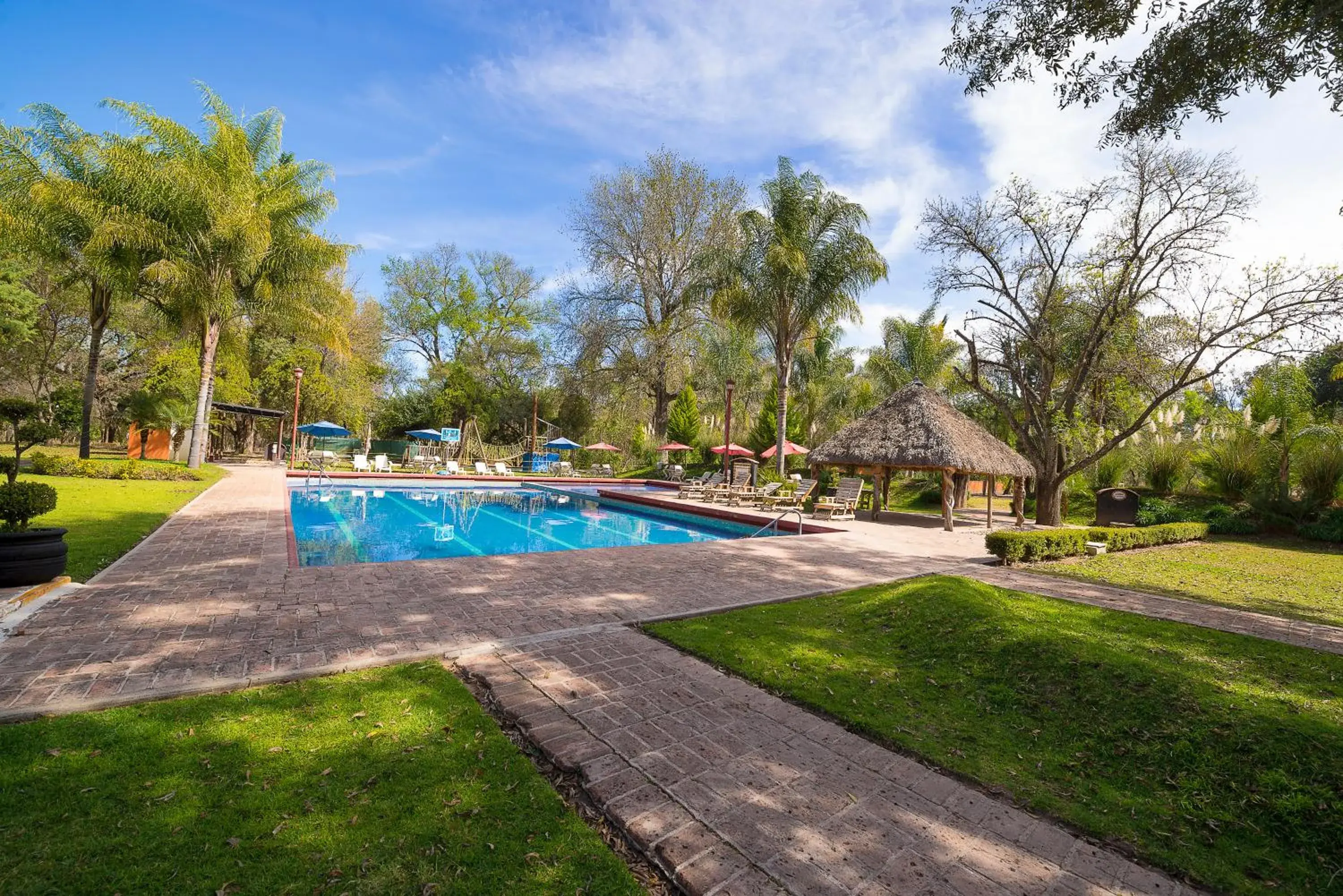 Pool view in El Marques Hacienda