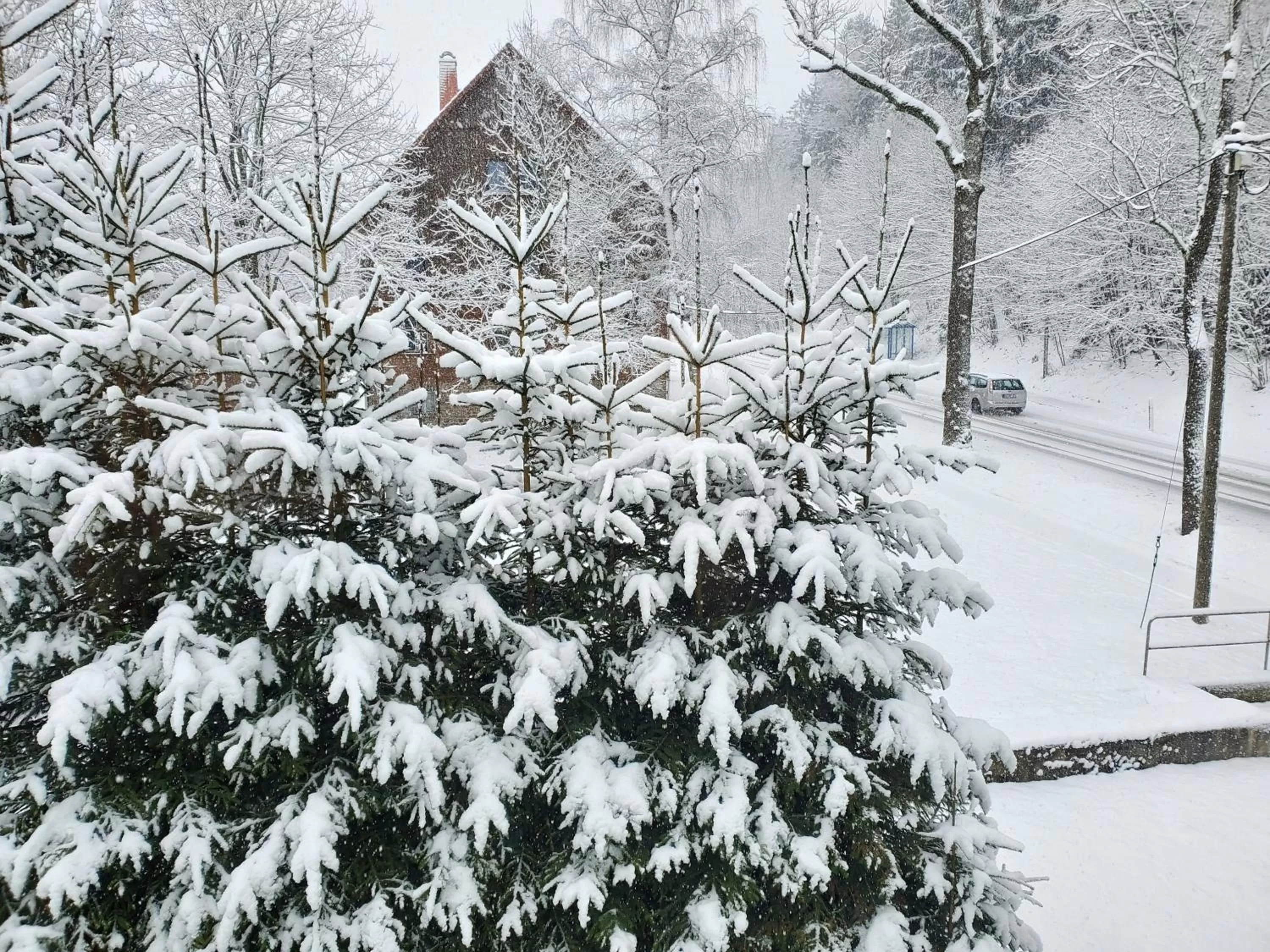 Natural landscape in Hotel Bielatal