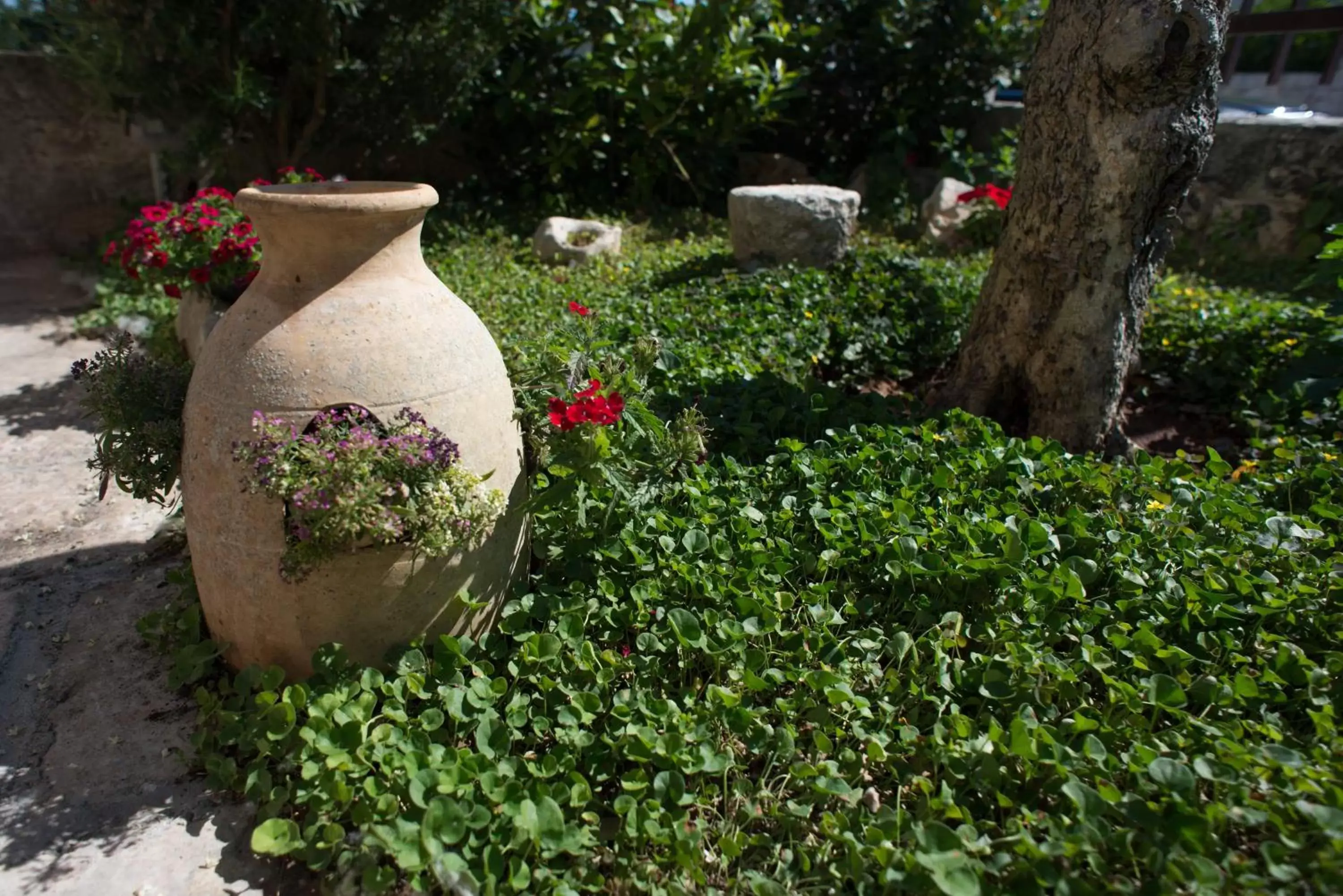 Grandi Trulli Bed & Breakfast