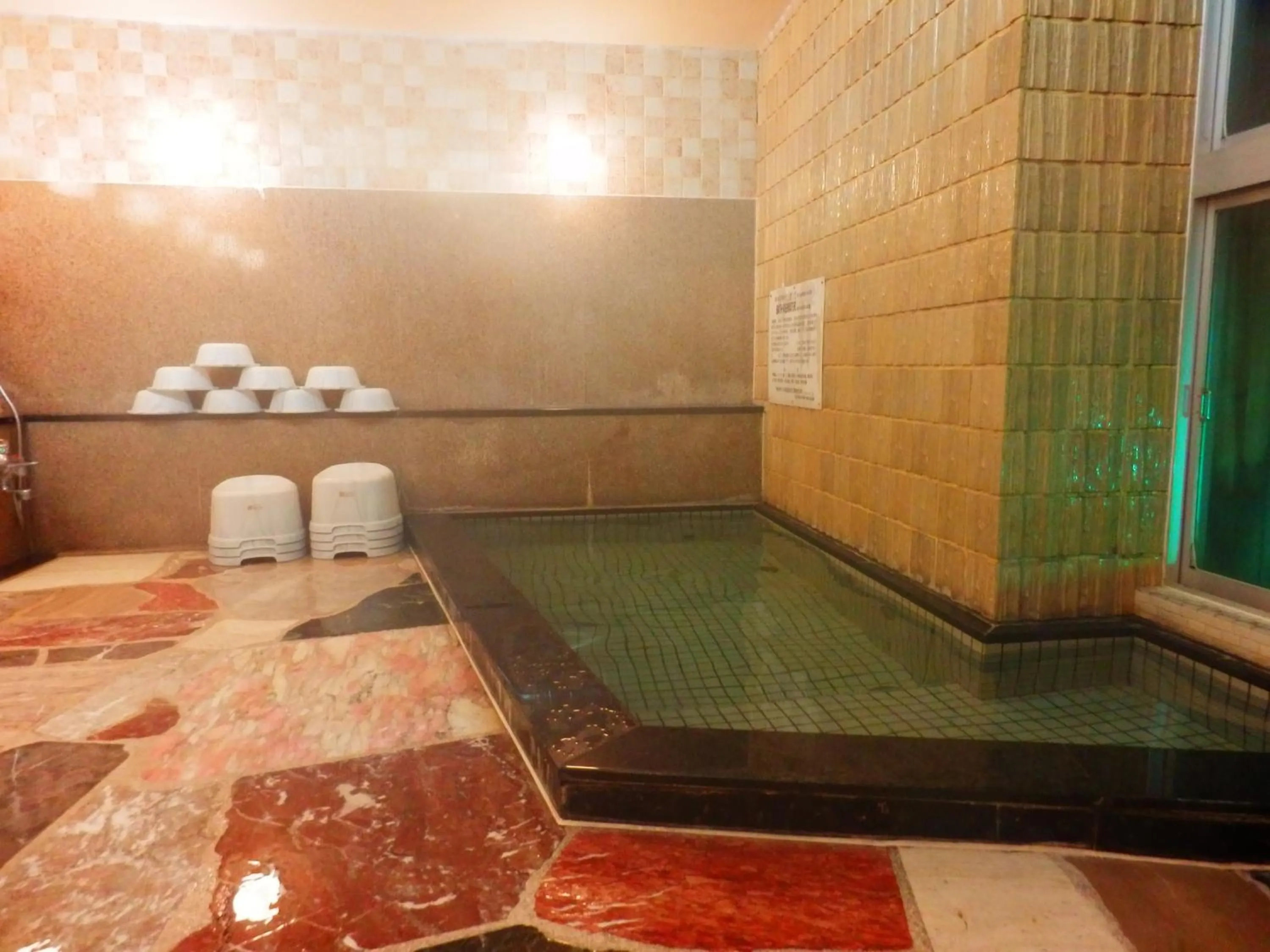 Swimming pool in Nakayasu Ryokan