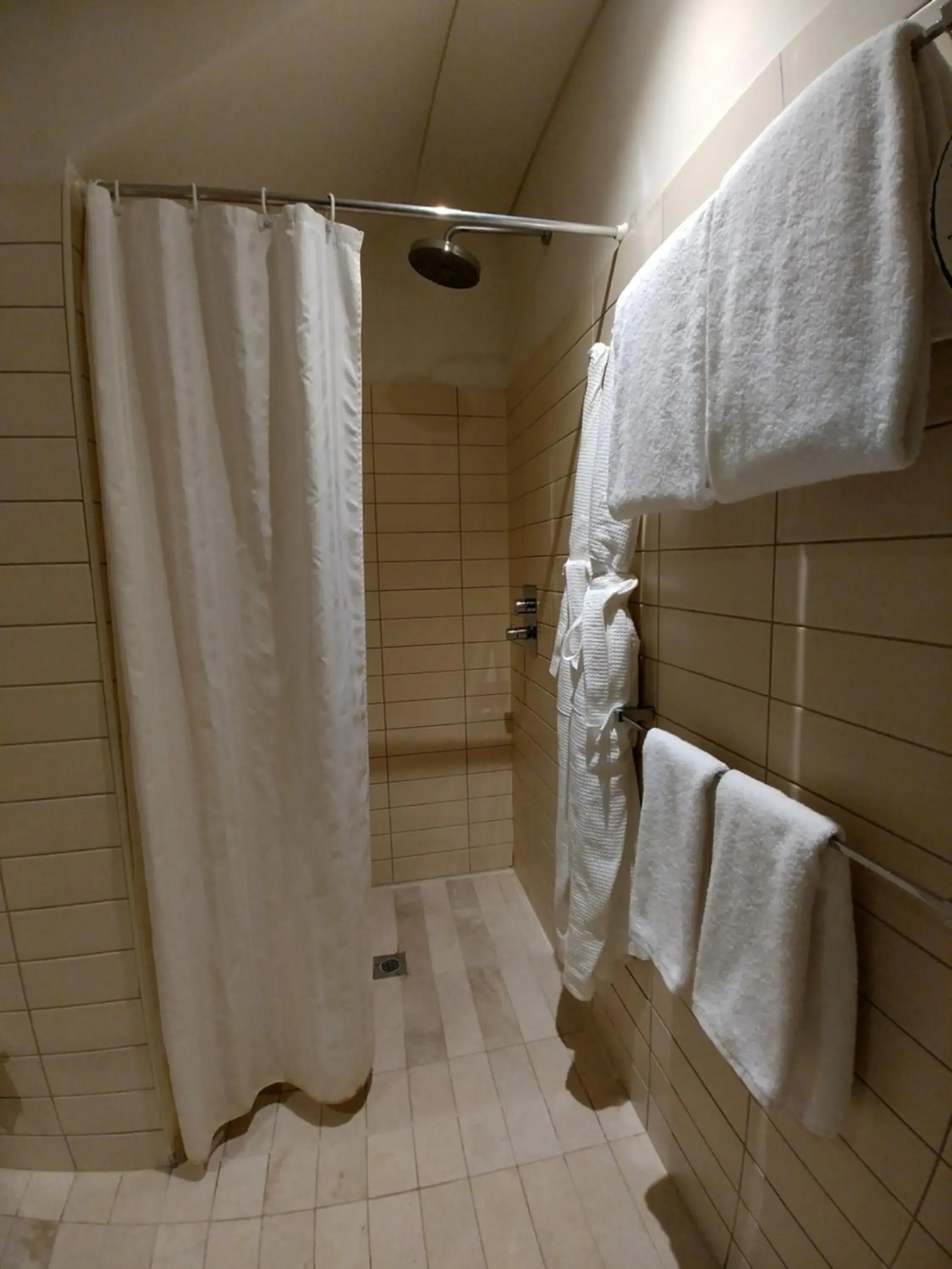 Shower, Bathroom in Ascott Park Place Dubai