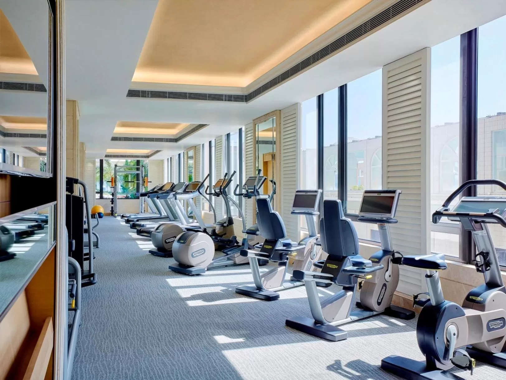 Fitness centre/facilities in The Royal Garden
