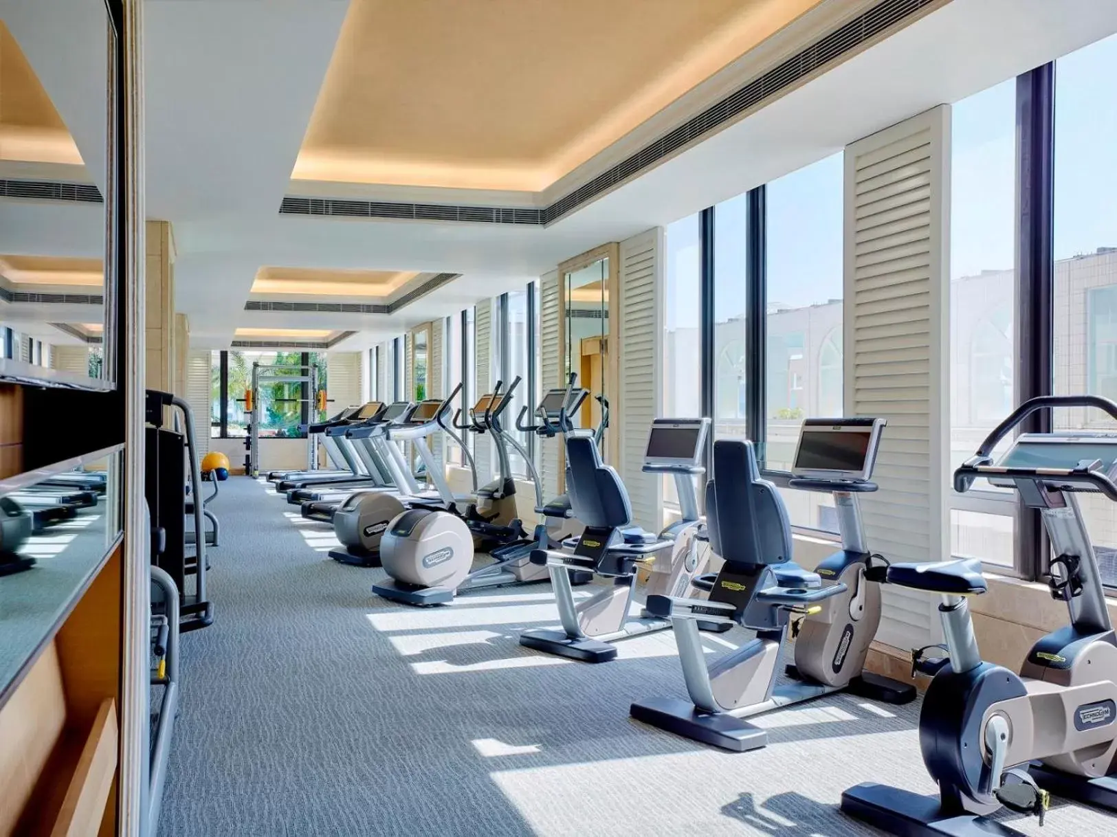 Fitness centre/facilities, Fitness Center/Facilities in The Royal Garden