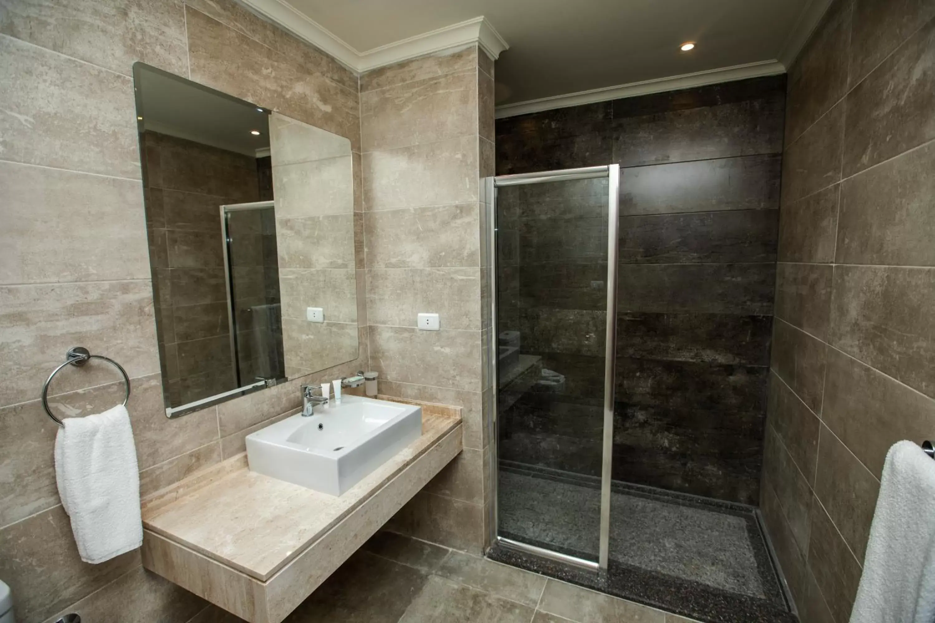 Shower, Bathroom in AIFU Hotel El Montazah Alexandria