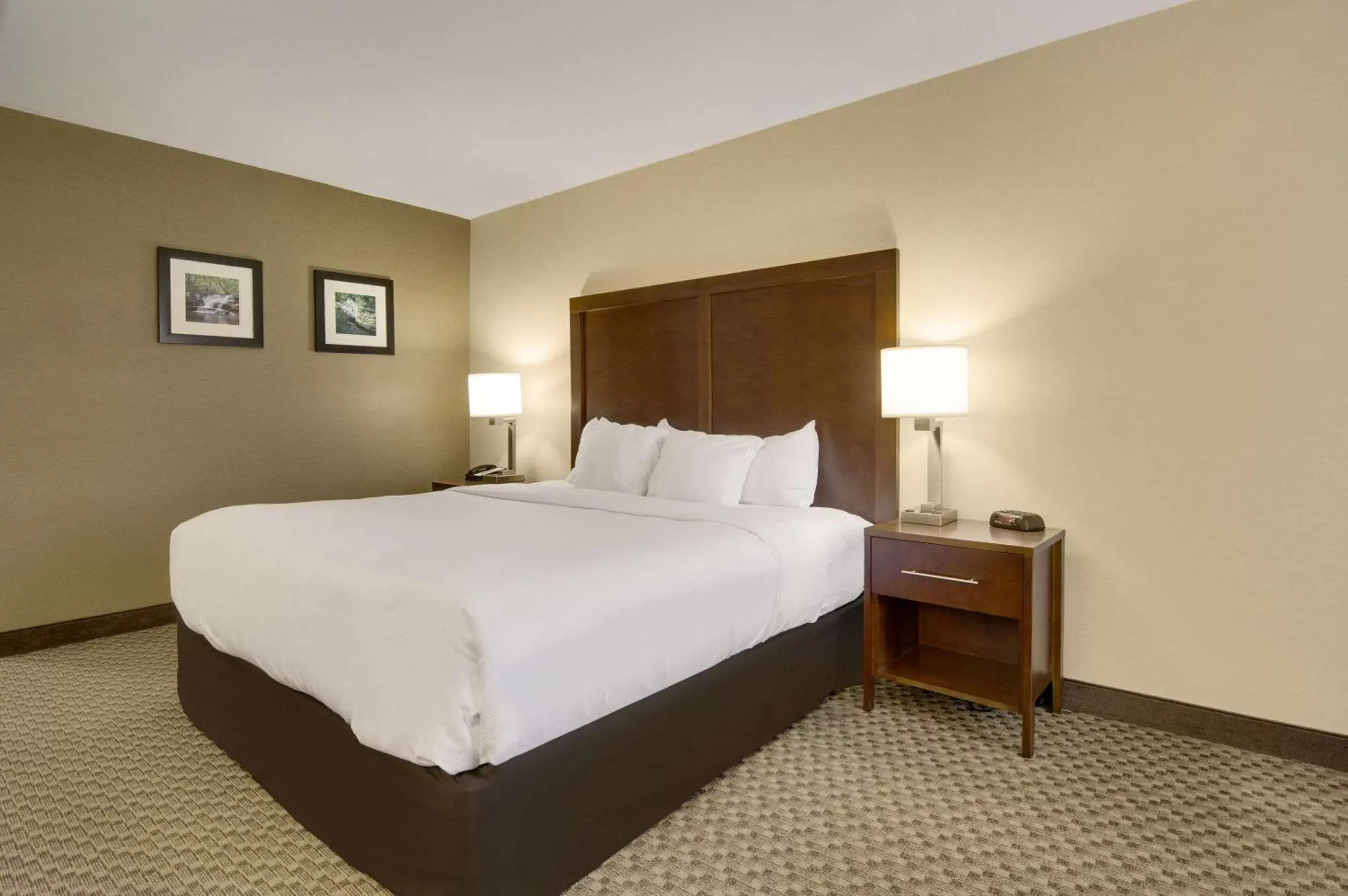 Bedroom, Bed in Comfort Inn Airport Roanoke