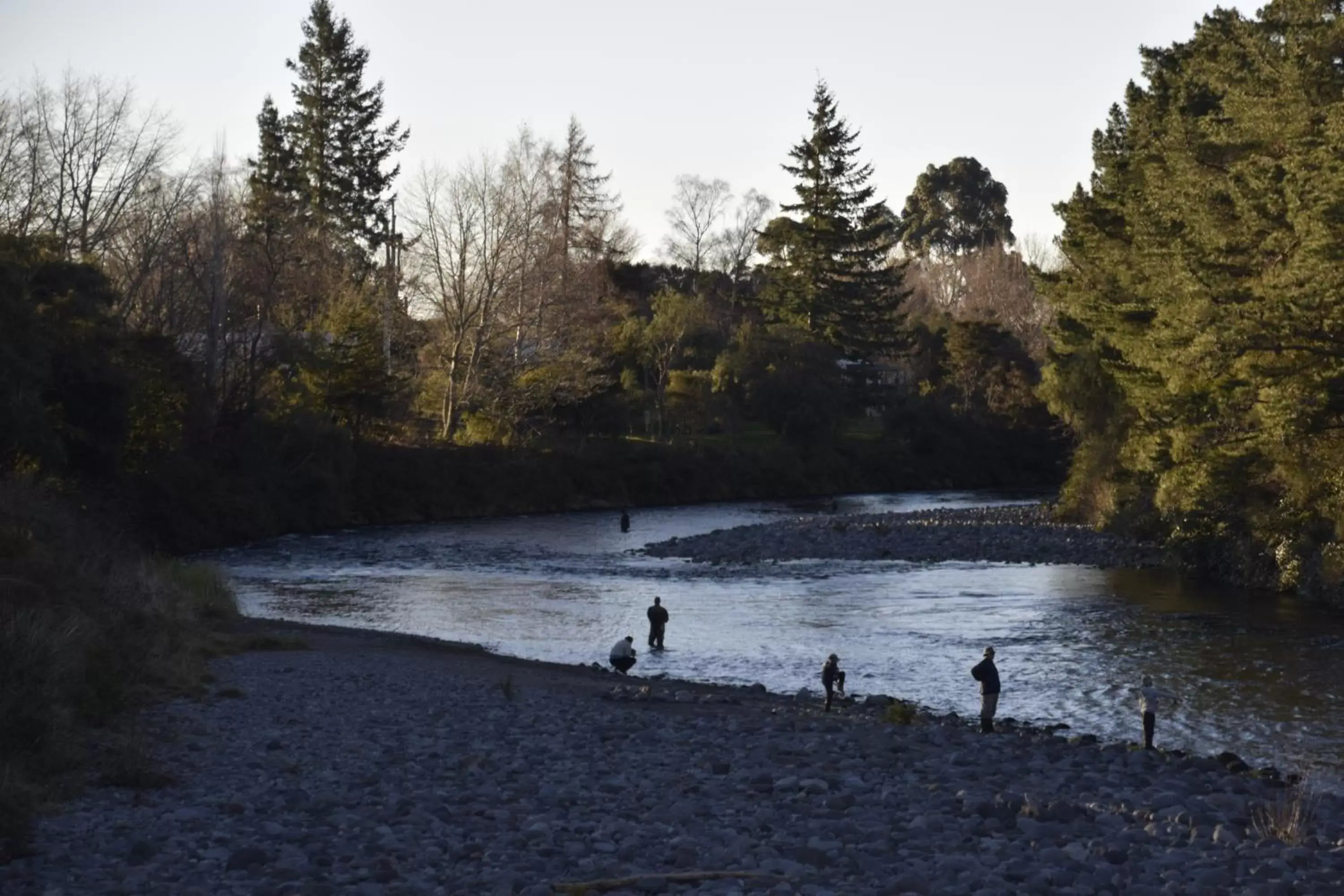 Fishing in Judges Pool Motel Turangi