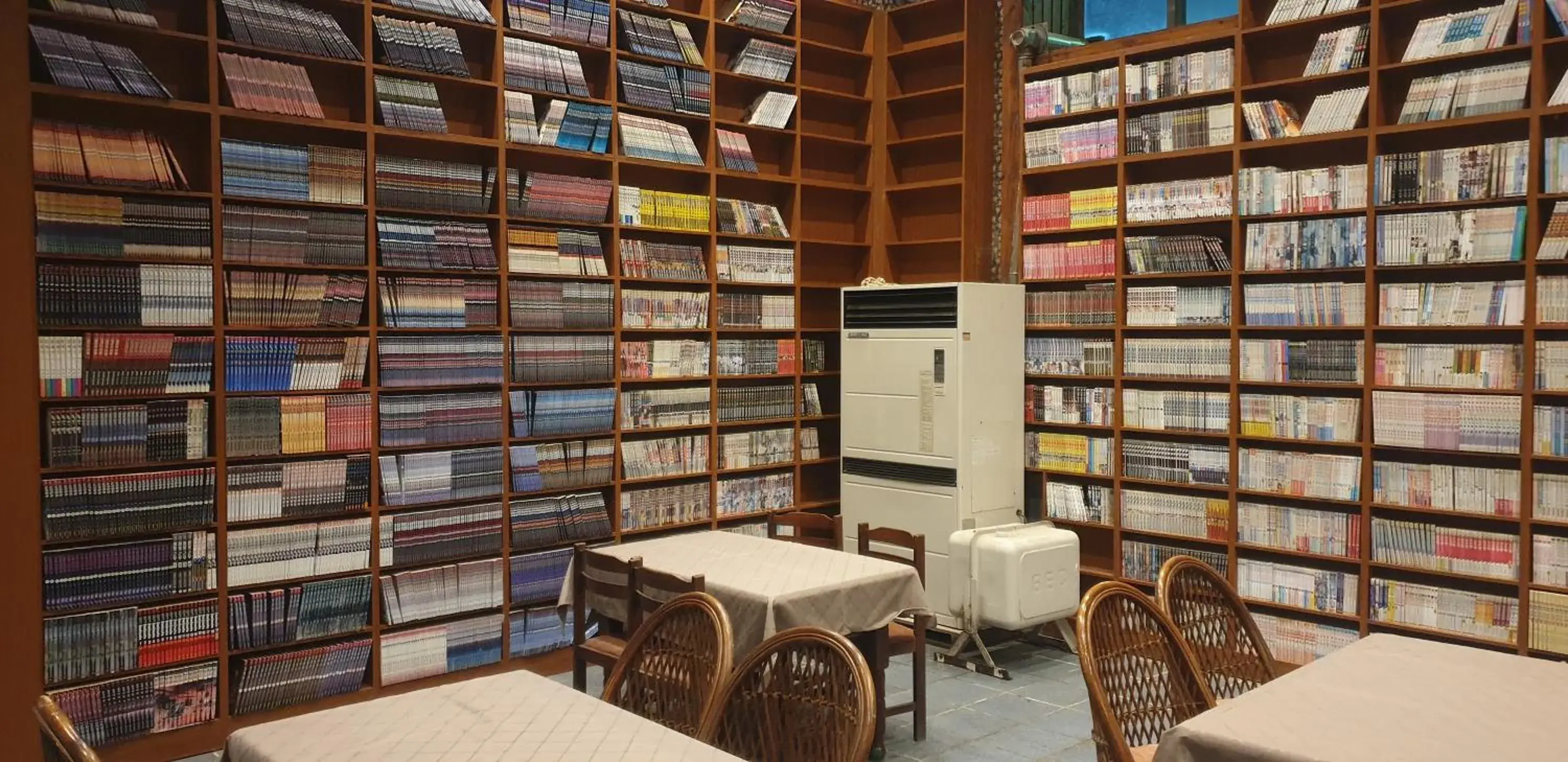 Library in The Red House