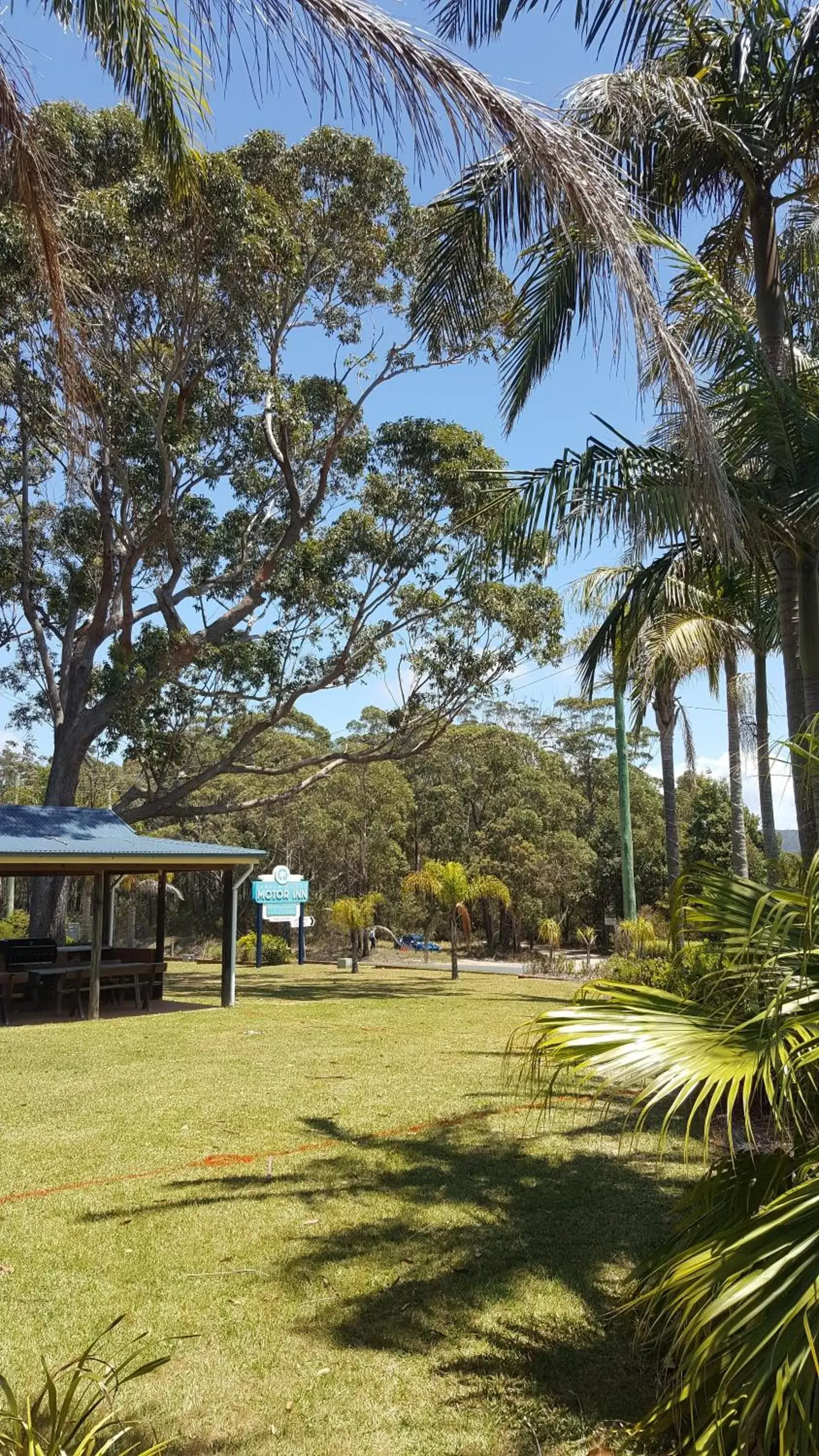 Restaurant/places to eat, Garden in Tabourie Lake Motor Inn