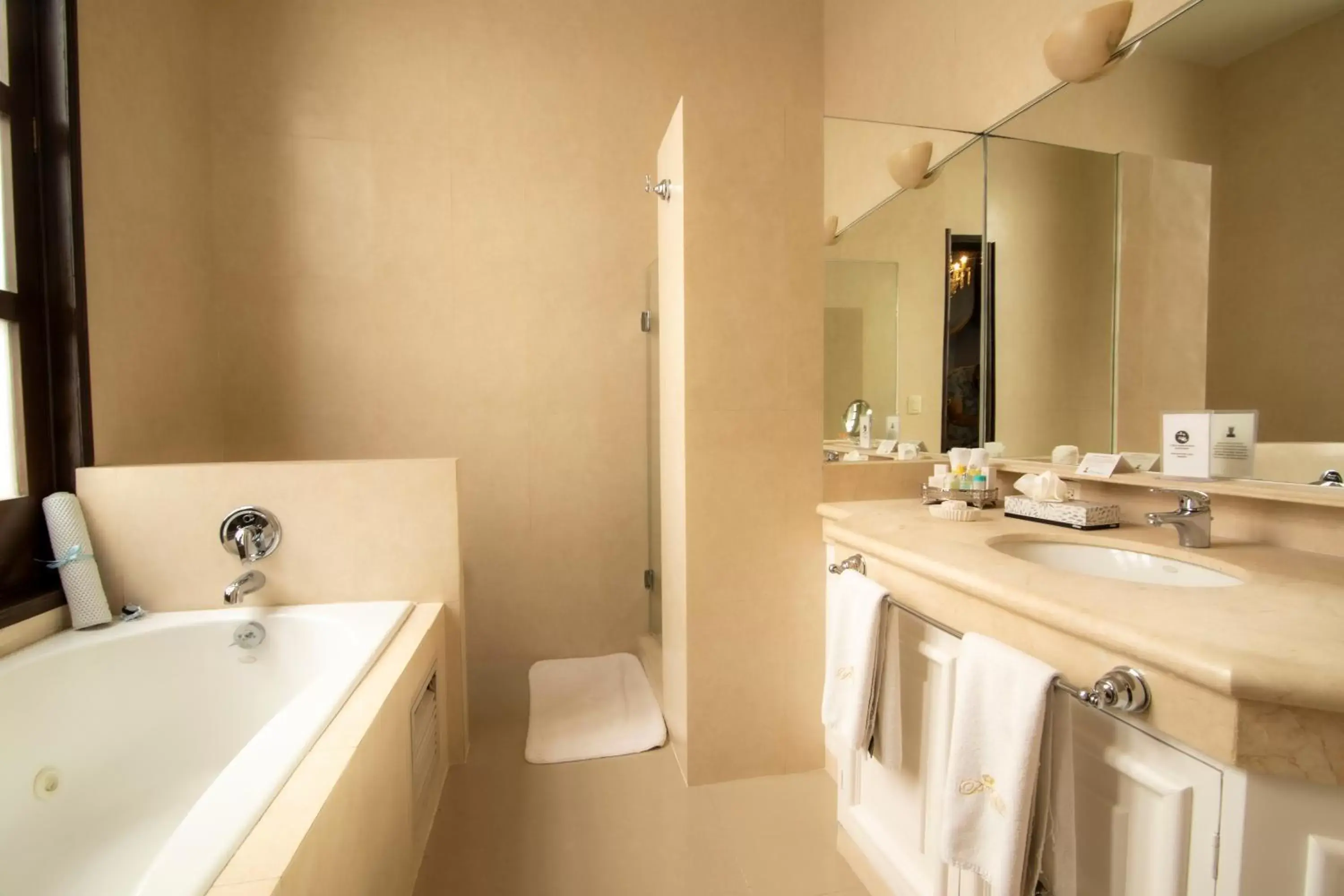 Toilet, Bathroom in Palacio Borghese Hotel Boutique - Adults Only