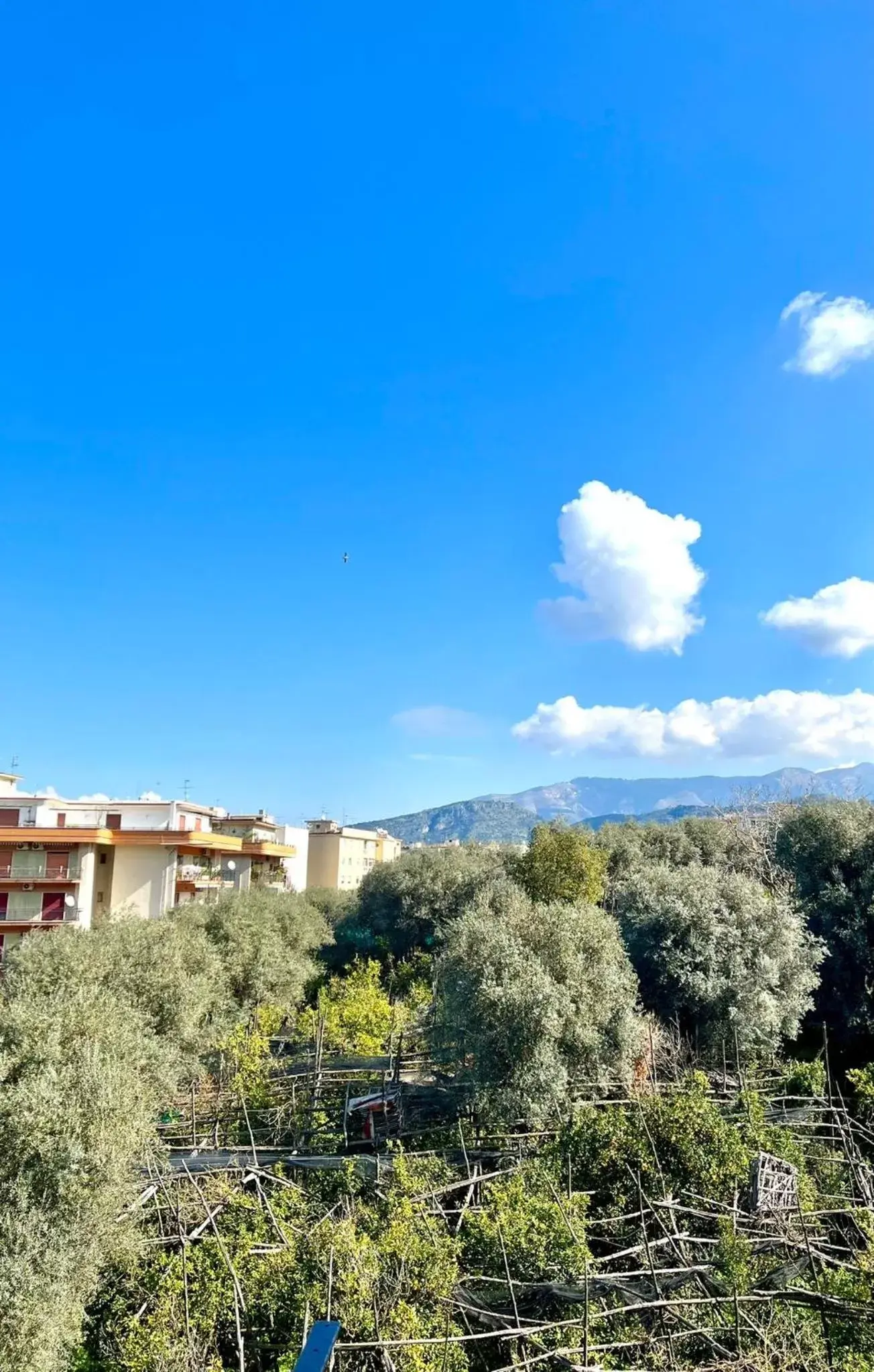 View (from property/room) in IL FILO DI ARIANNA