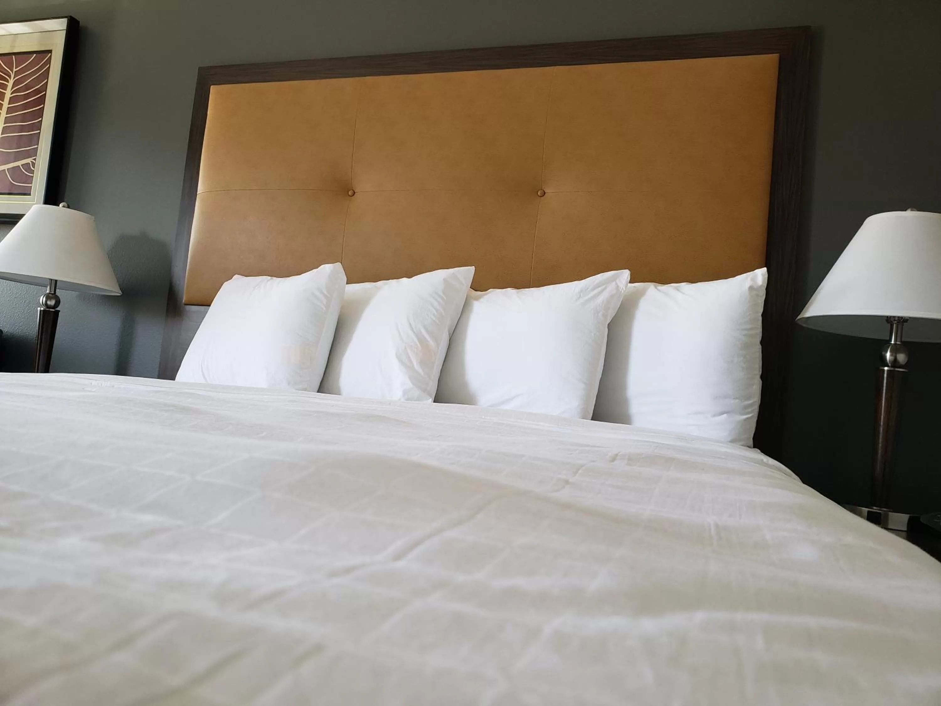 Bed in Portofino Inn Burbank