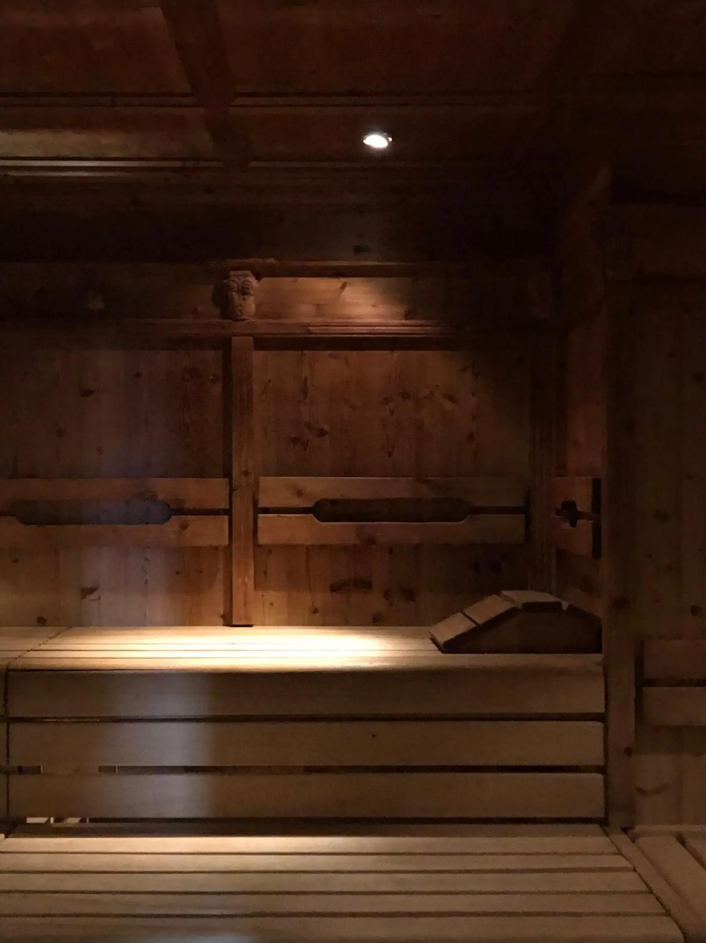 Sauna in Alpina Family, Spa & Sporthotel