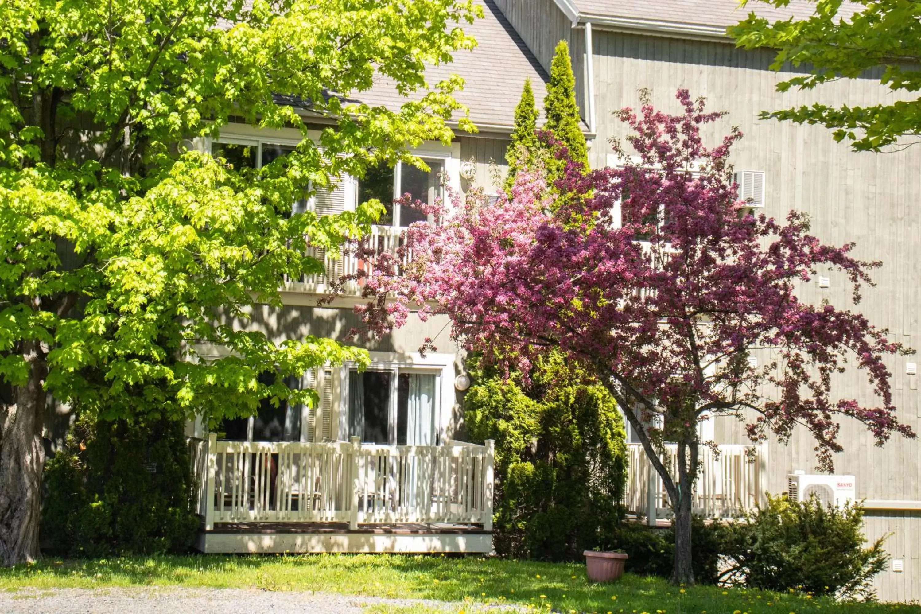 Garden view, Property Building in Auberge La Camarine