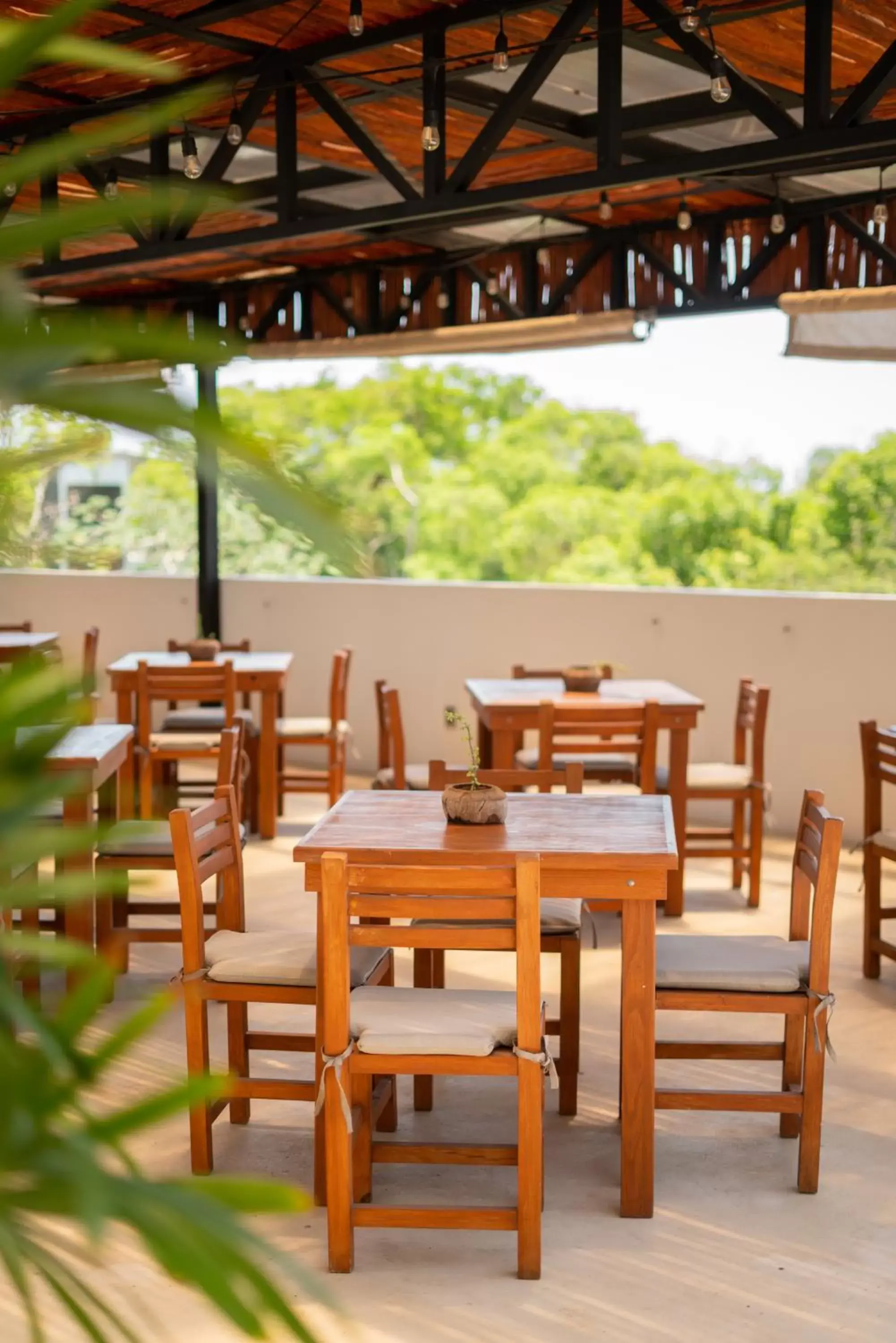 Breakfast, Restaurant/Places to Eat in Hotel Muyu Tulum