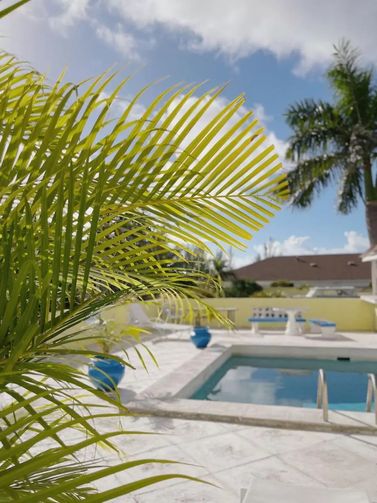 Swimming Pool in Golden Palm B & B