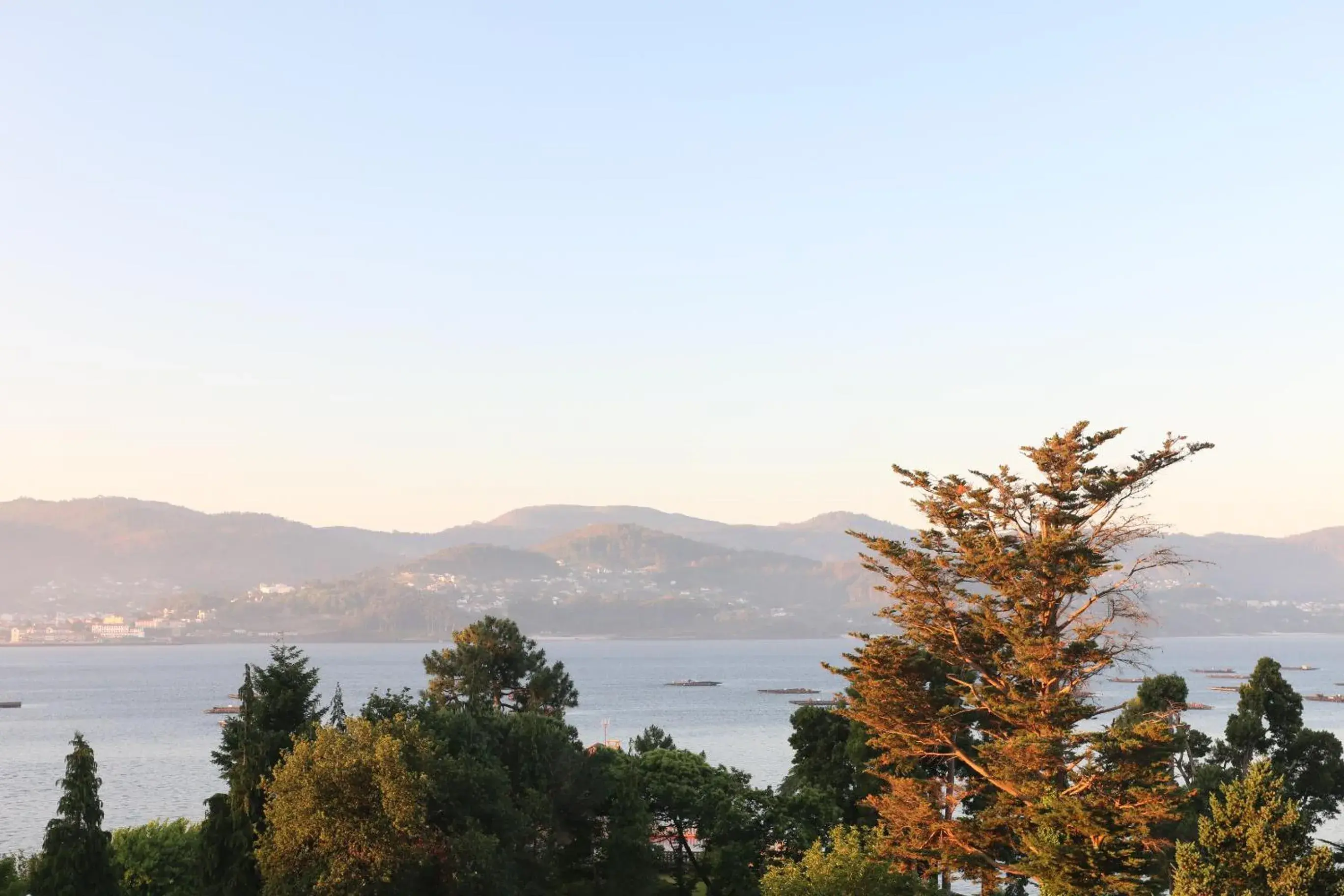 Sea view in Villa Covelo Sea view in Villa Covelo