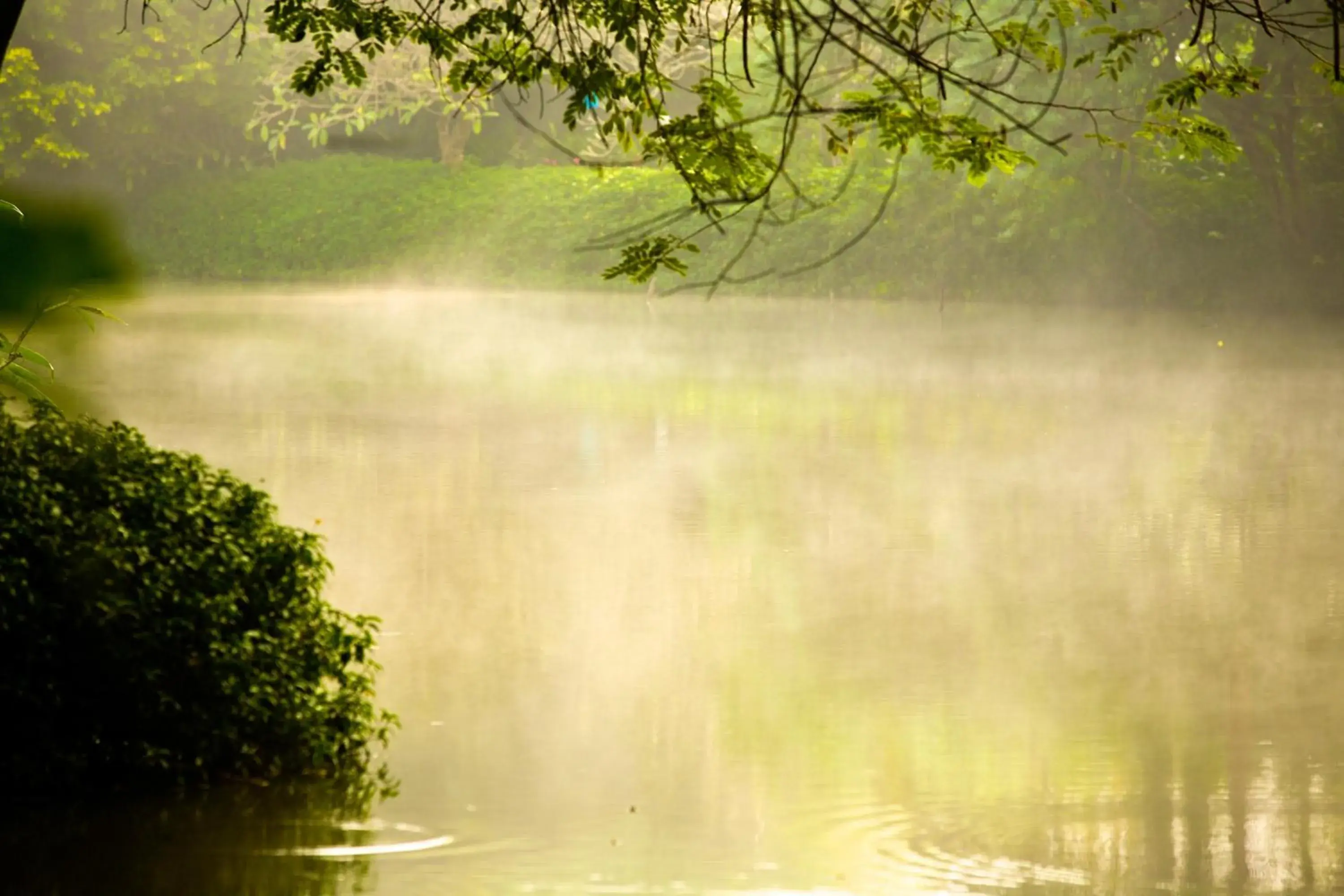 Natural landscape in Lampang River Lodge (SHA Certified)