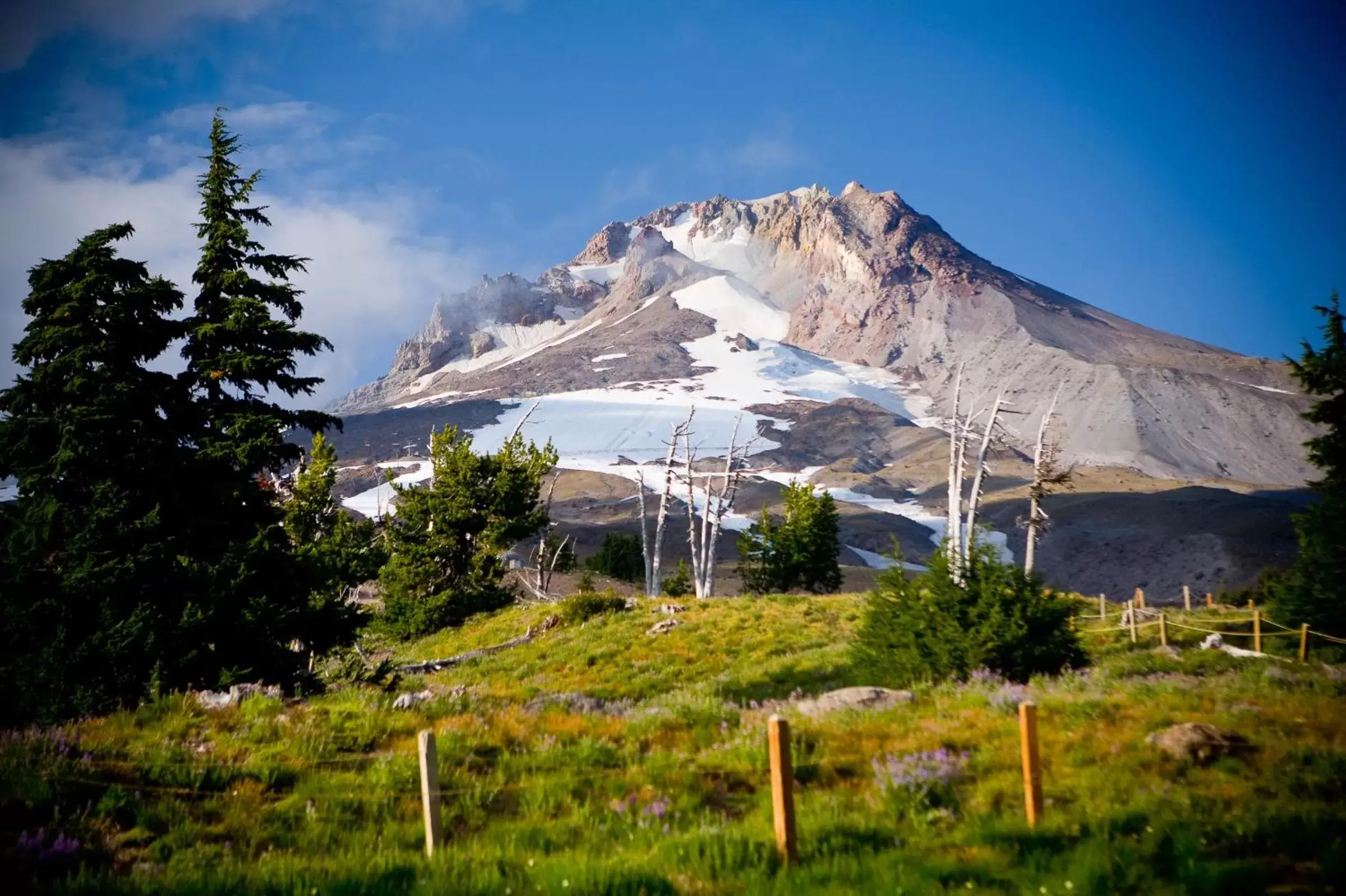 View (from property/room), Natural Landscape in Timberline Lodge