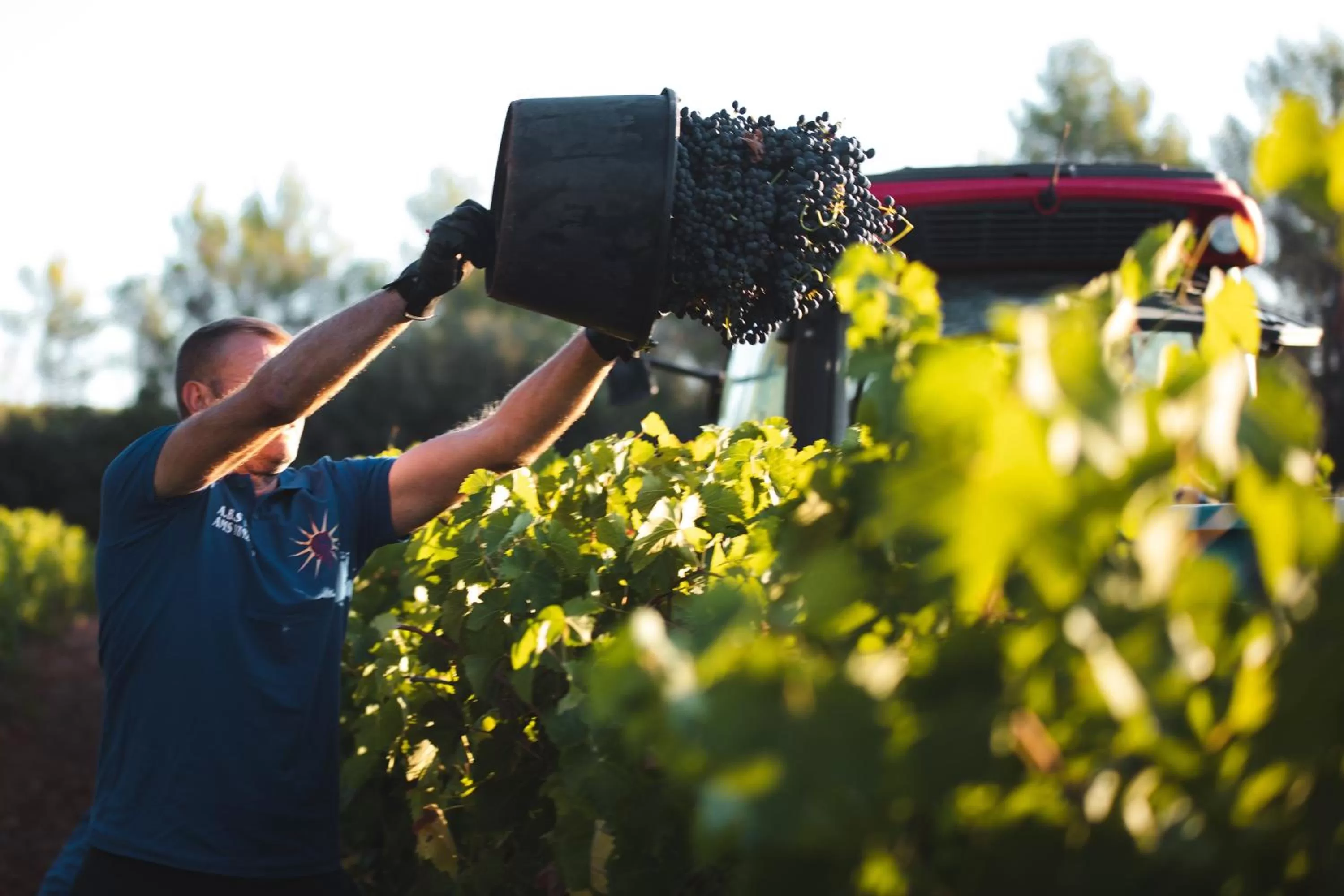 Garden in Château de Berne