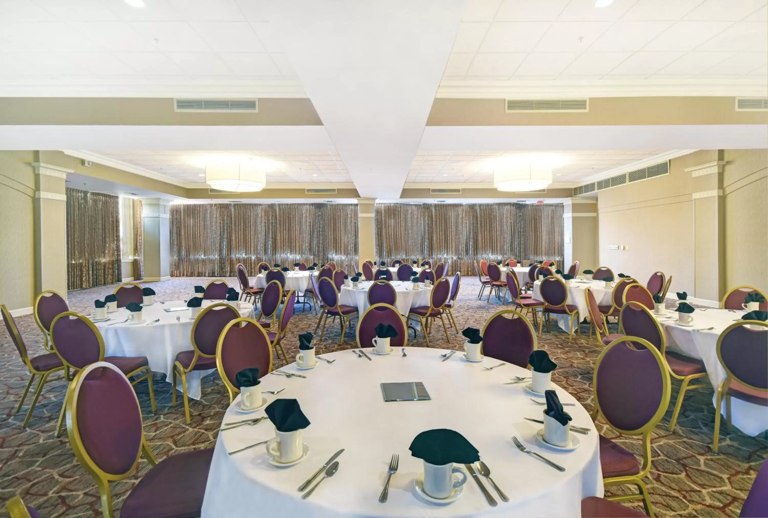 Banquet/Function facilities, Banquet Facilities in Holiday Inn - Memphis Downtown - Beale St., an IHG Hotel