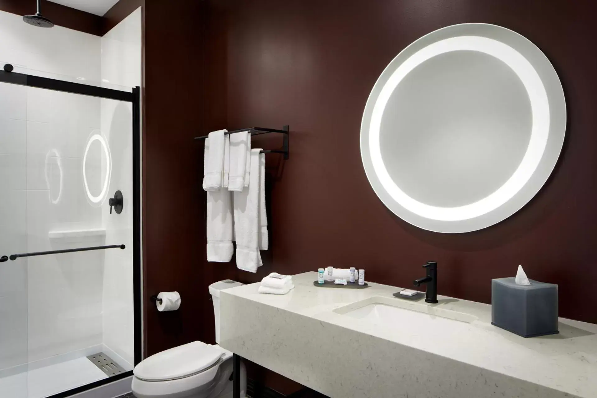 Bathroom in TRYP by Wyndham Pittsburgh/Lawrenceville