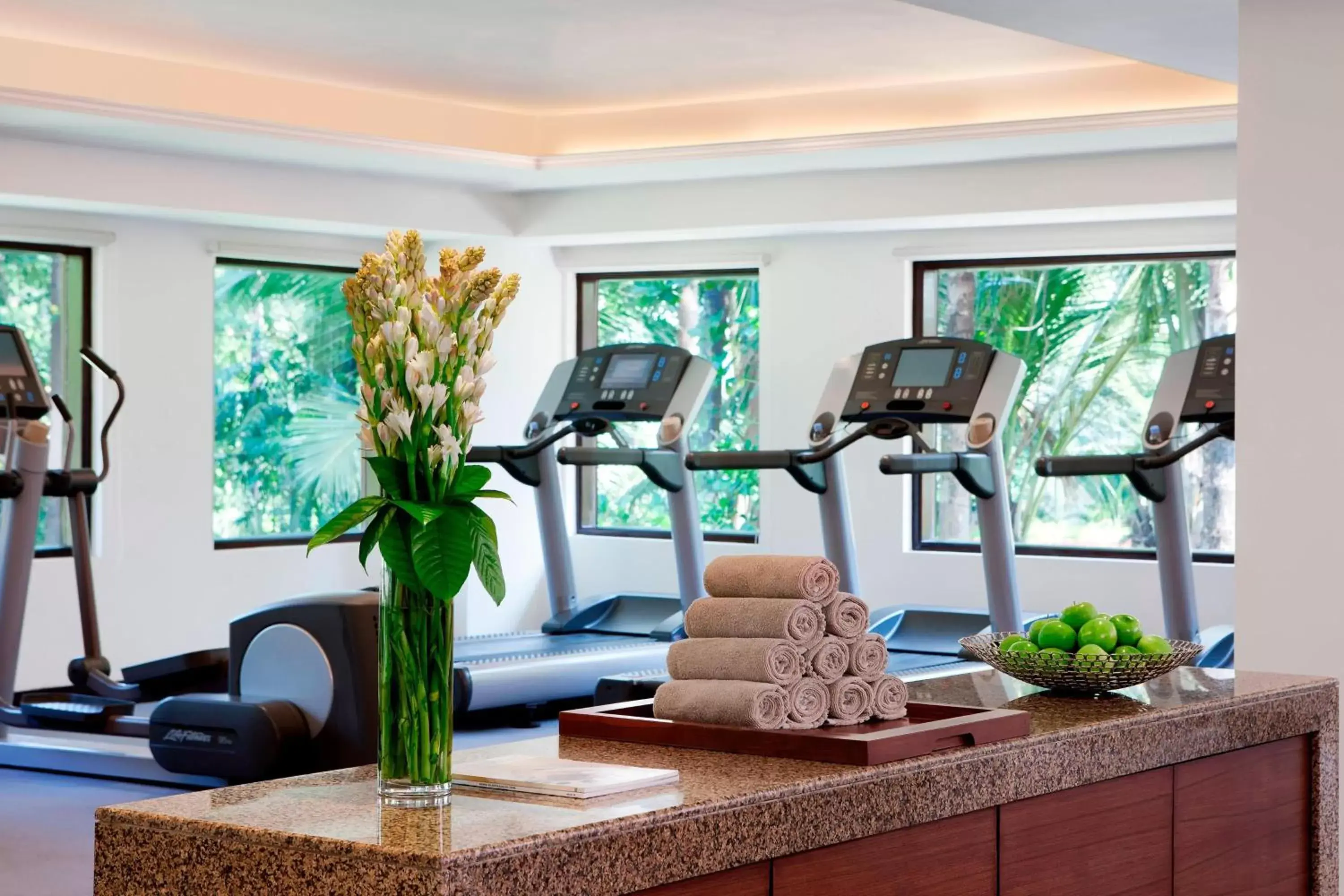 Fitness centre/facilities, Fitness Center/Facilities in Goa Marriott Resort & Spa