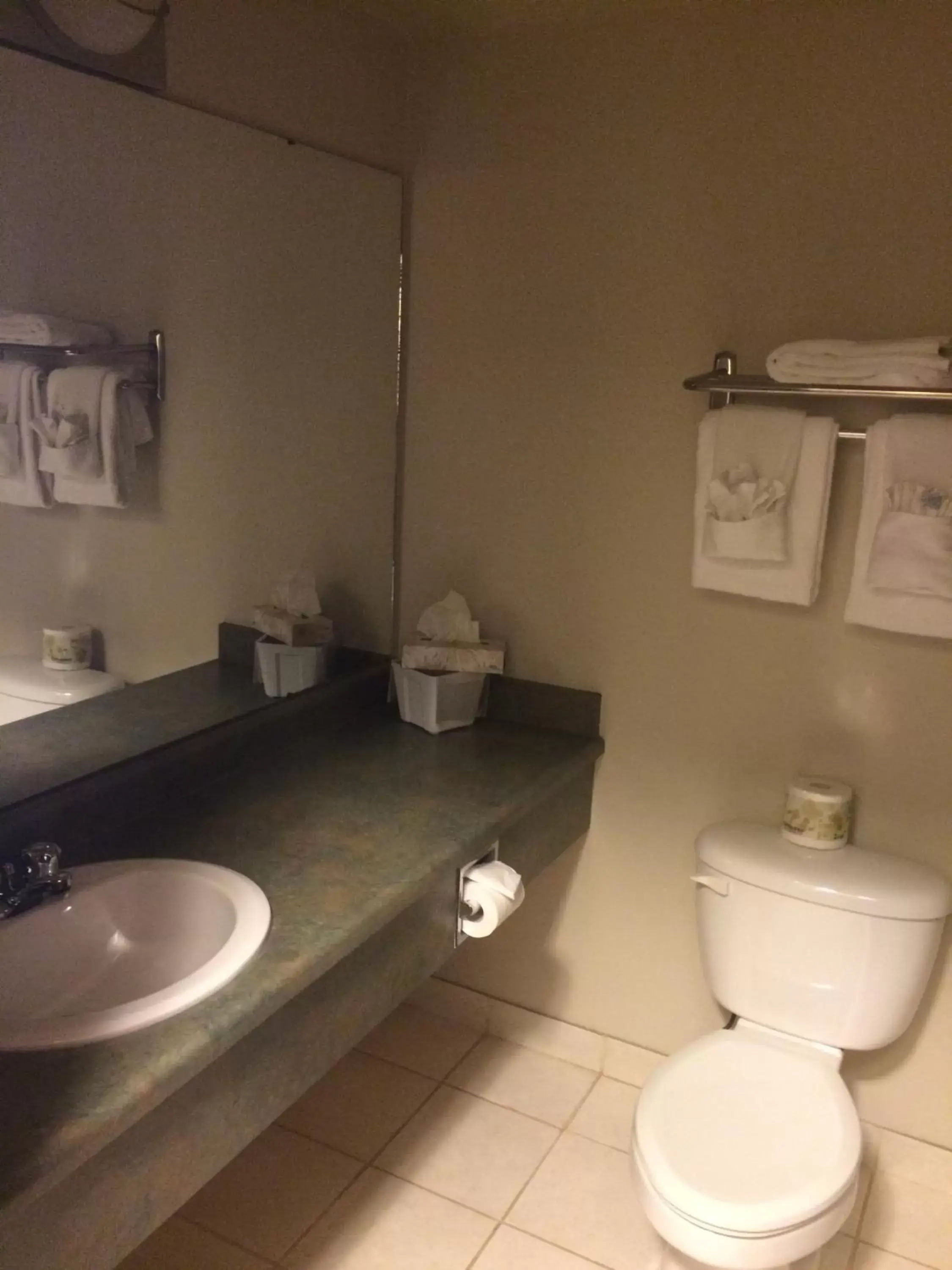 Bathroom in Foxwood Inn and Suites