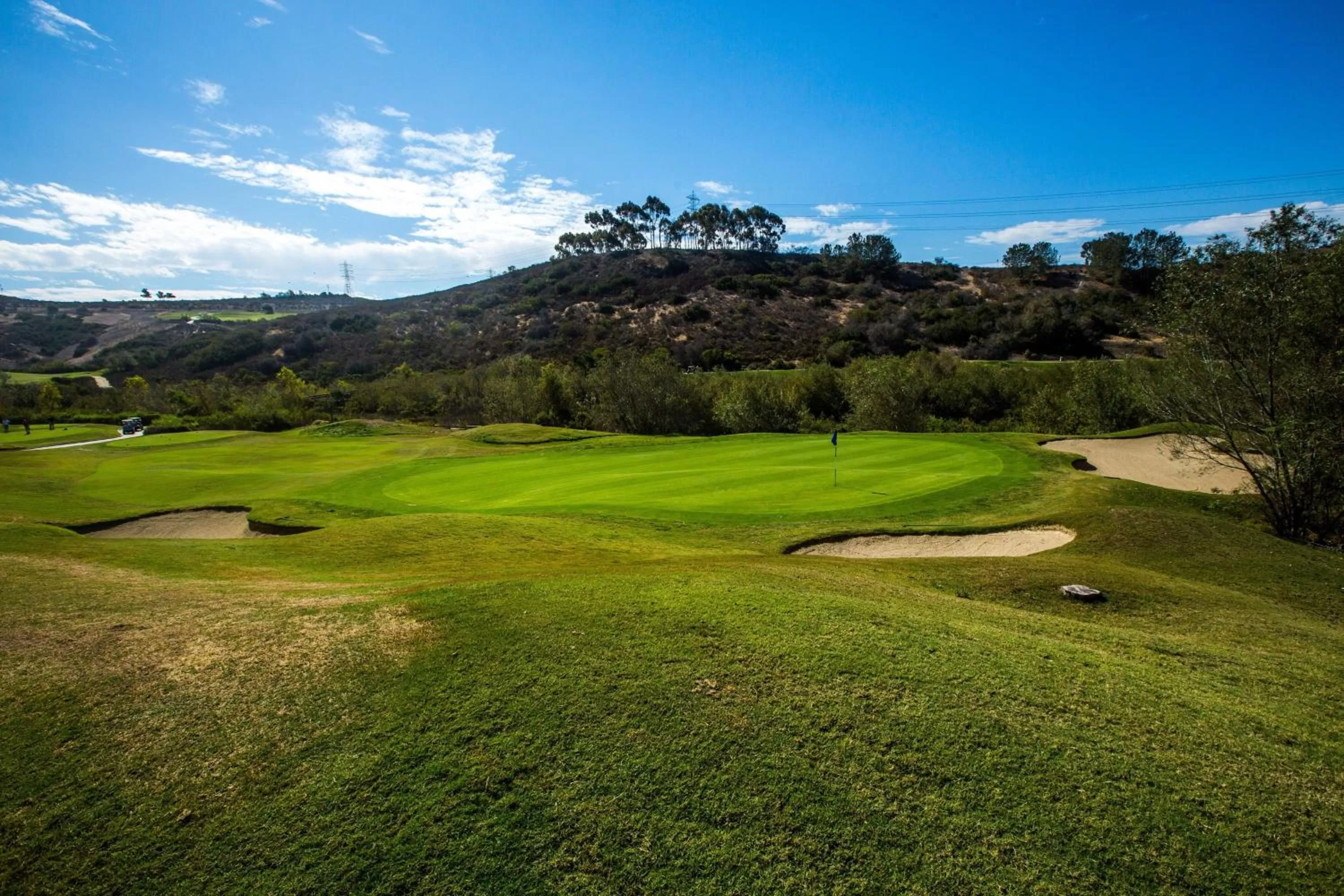 Golfcourse, Golf in The Westin Carlsbad Resort & Spa